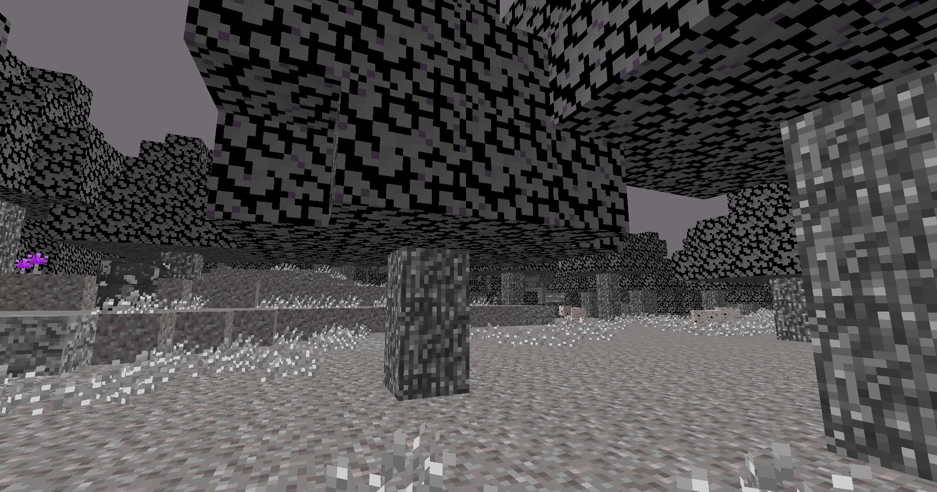 Gravel Forest?!?!