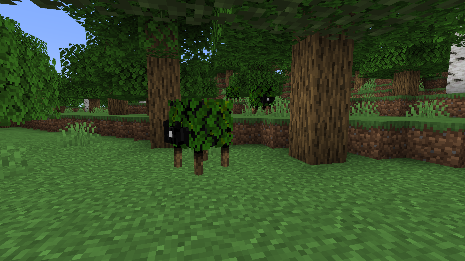 SwoogMod- All kinds of additions! — screenshot 6