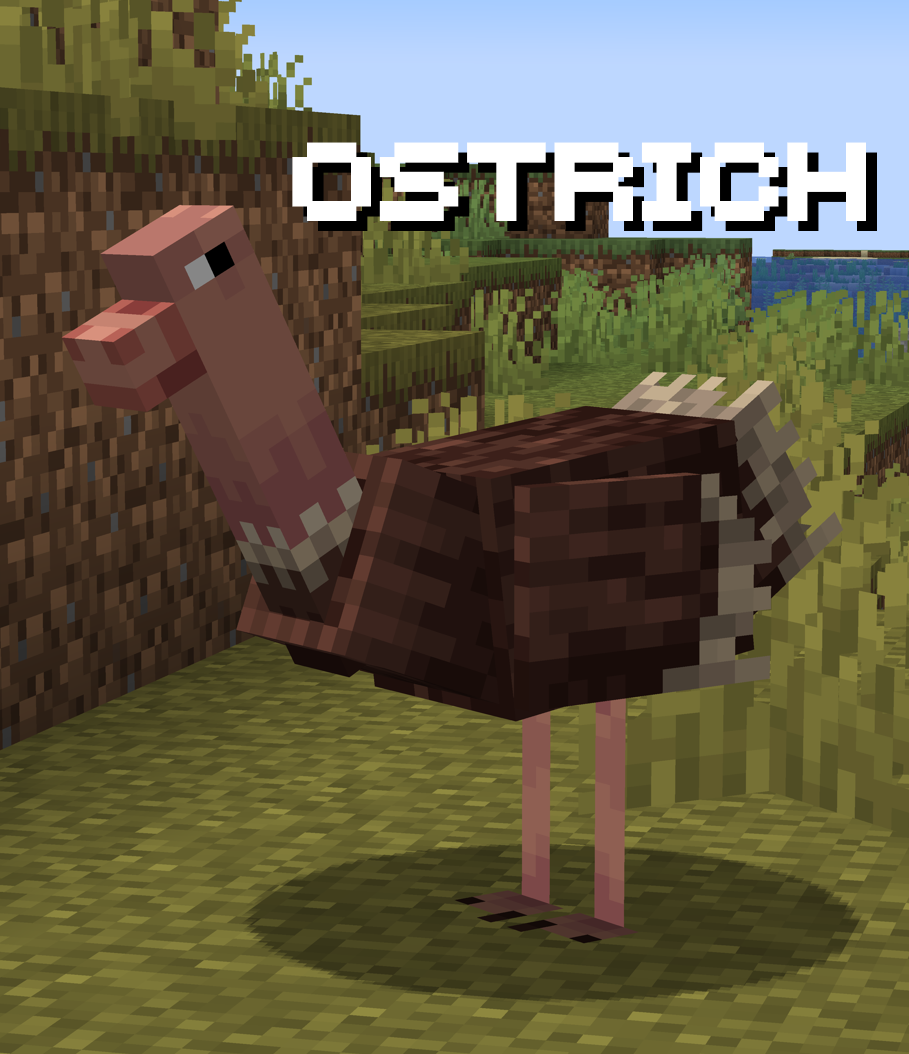 Ostrich