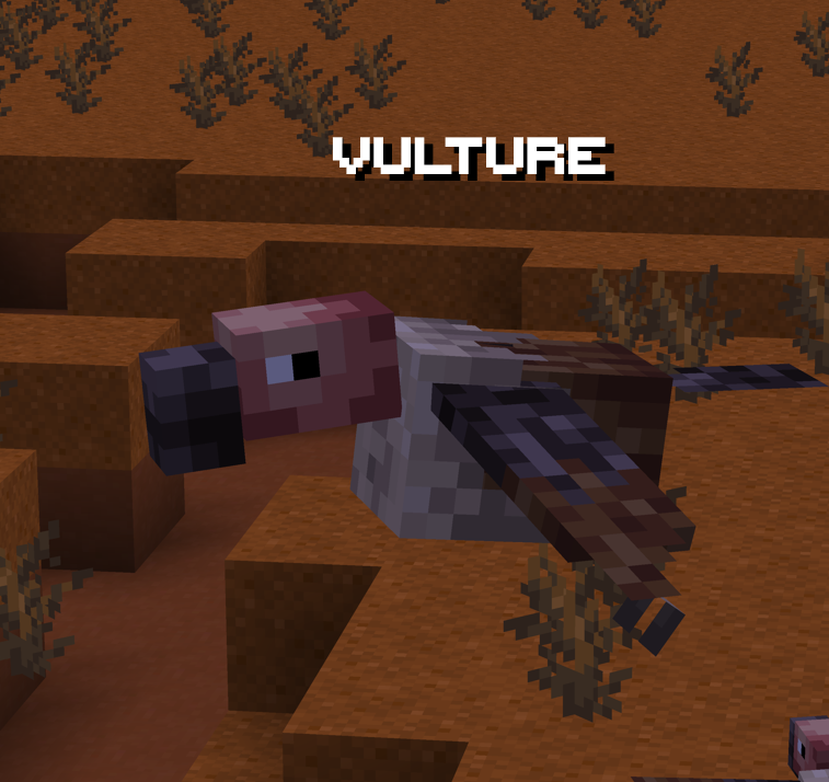 Vulture