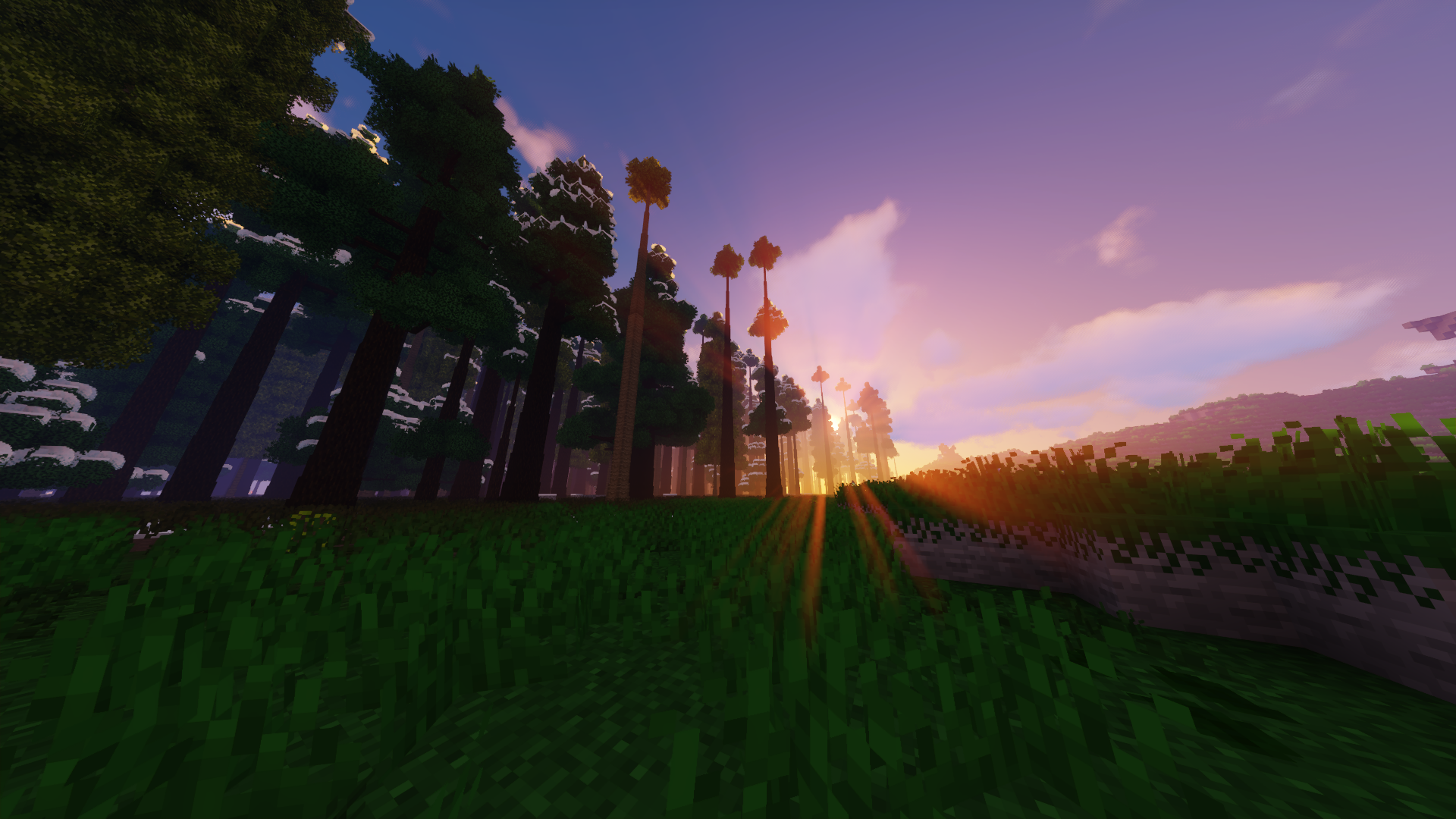 Shader used: sildurs vibrant