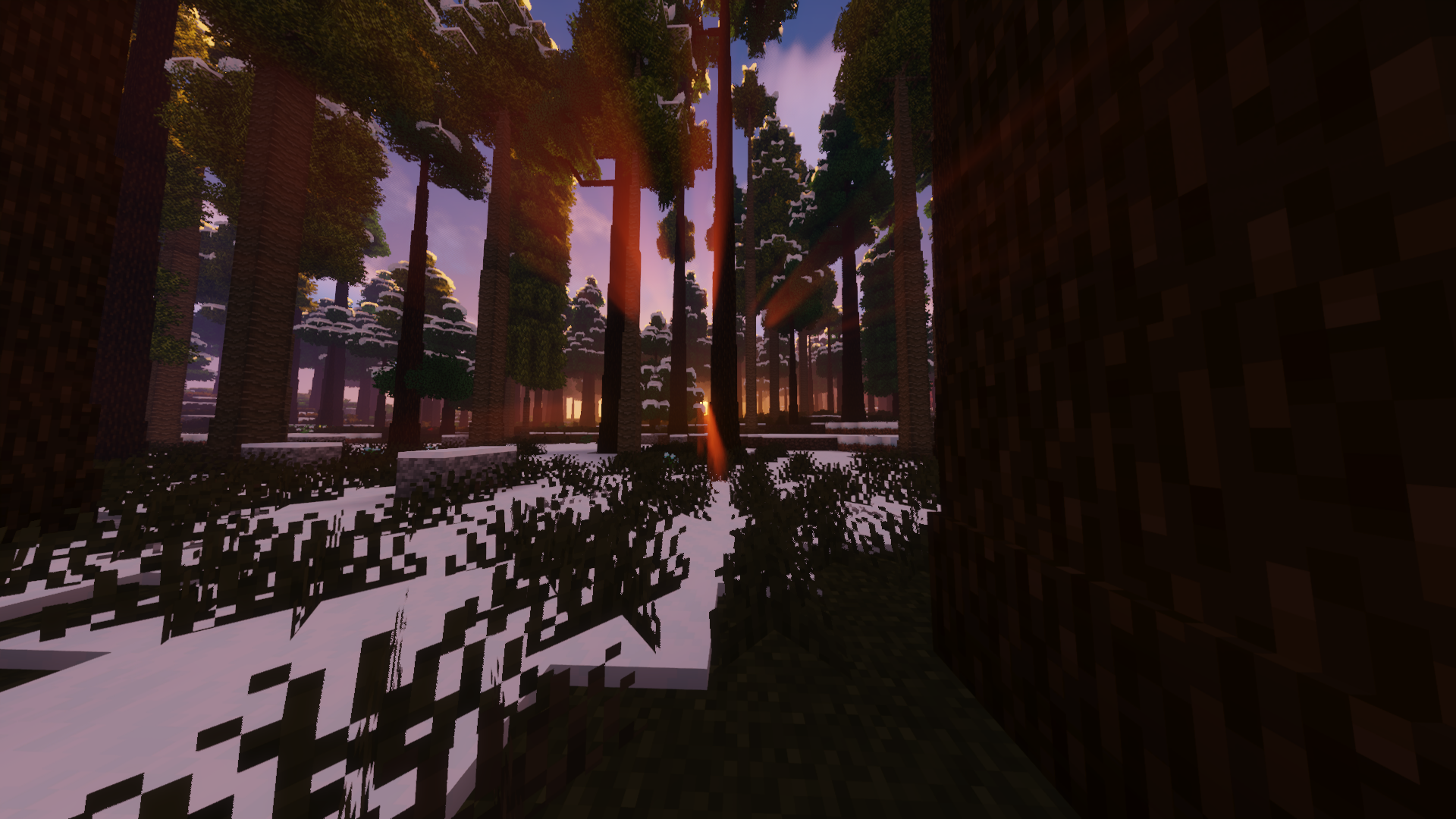 Shader used: sildurs vibrant
