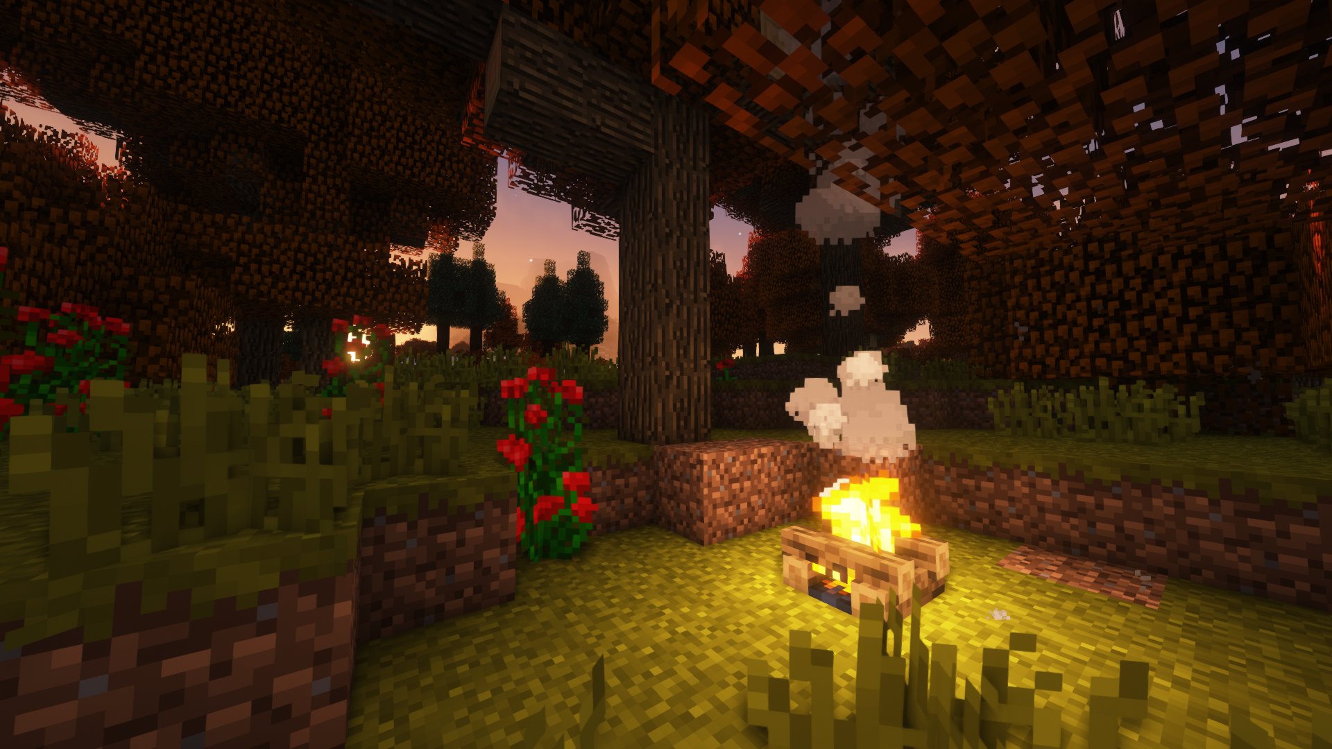 A small campfire in a forest during mid autumn.
