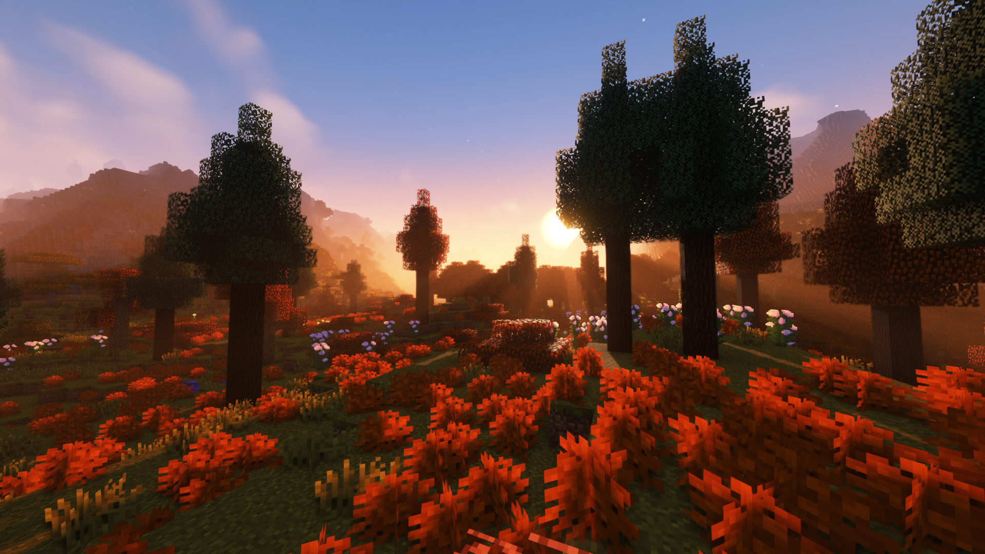 A mediterranean forest region during autumn at sunset.