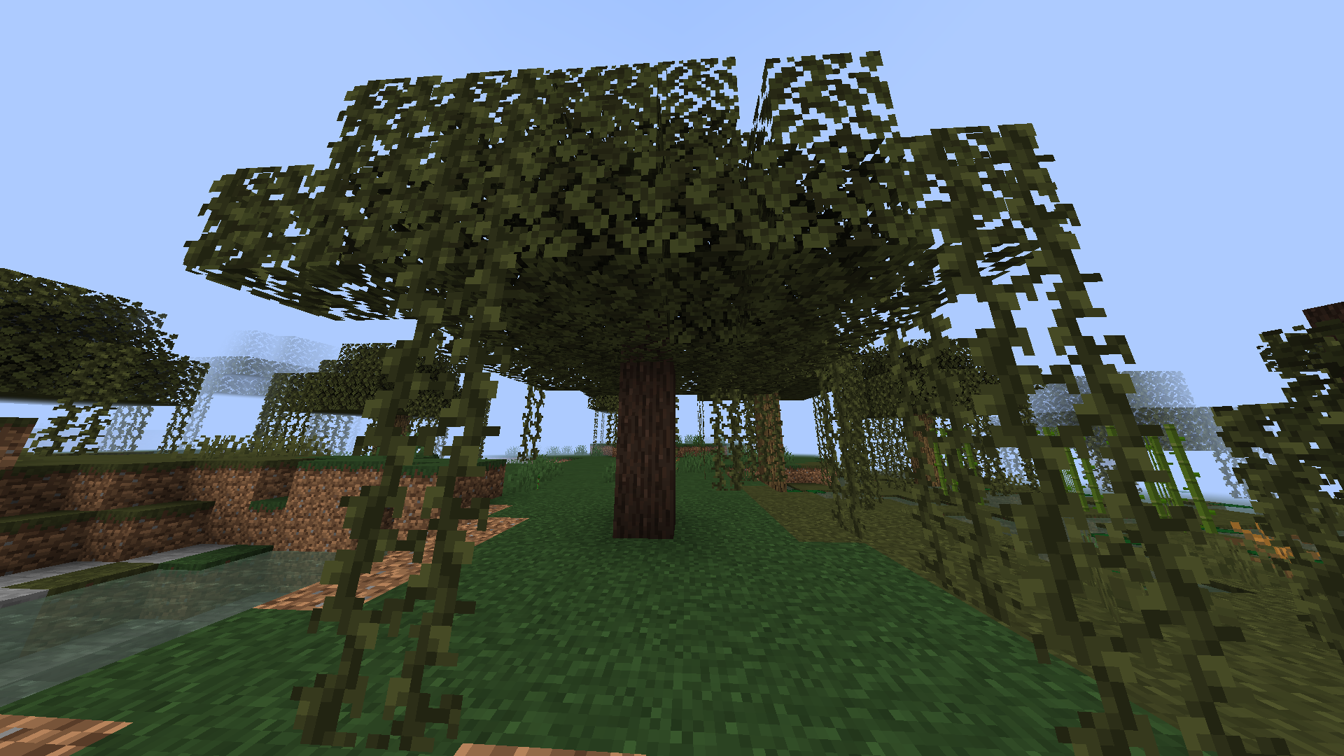 New Tree