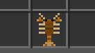 Swamp Dwarf Crayfish
