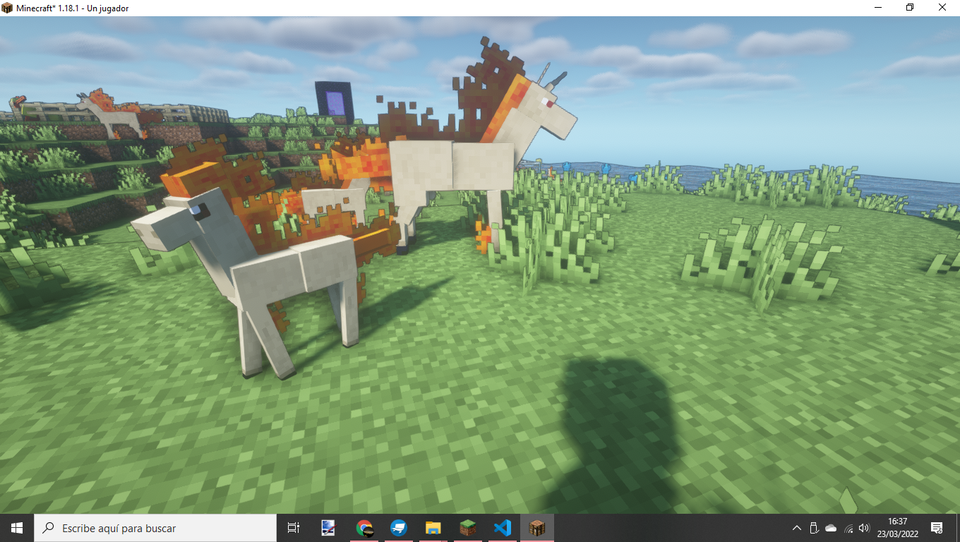 Ponyta and Rapidash