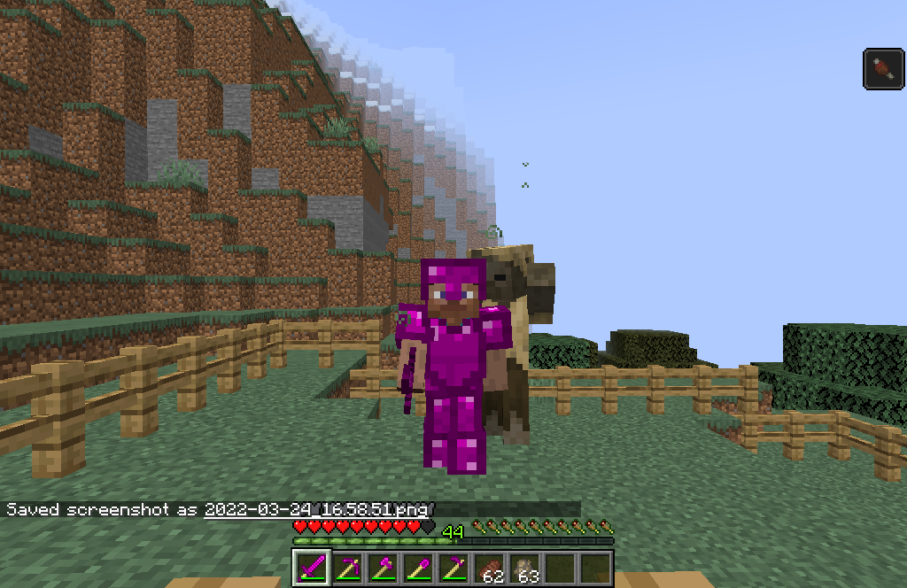 Enderite armor