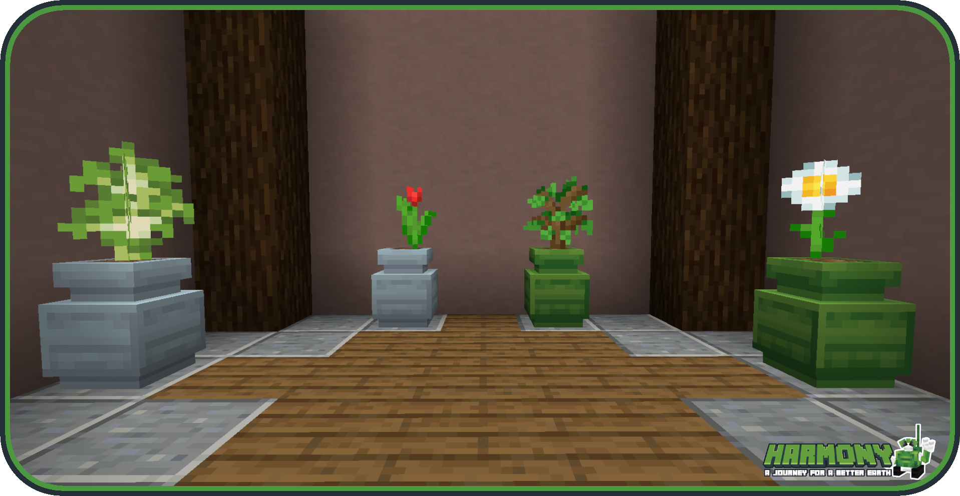 Plant Vases