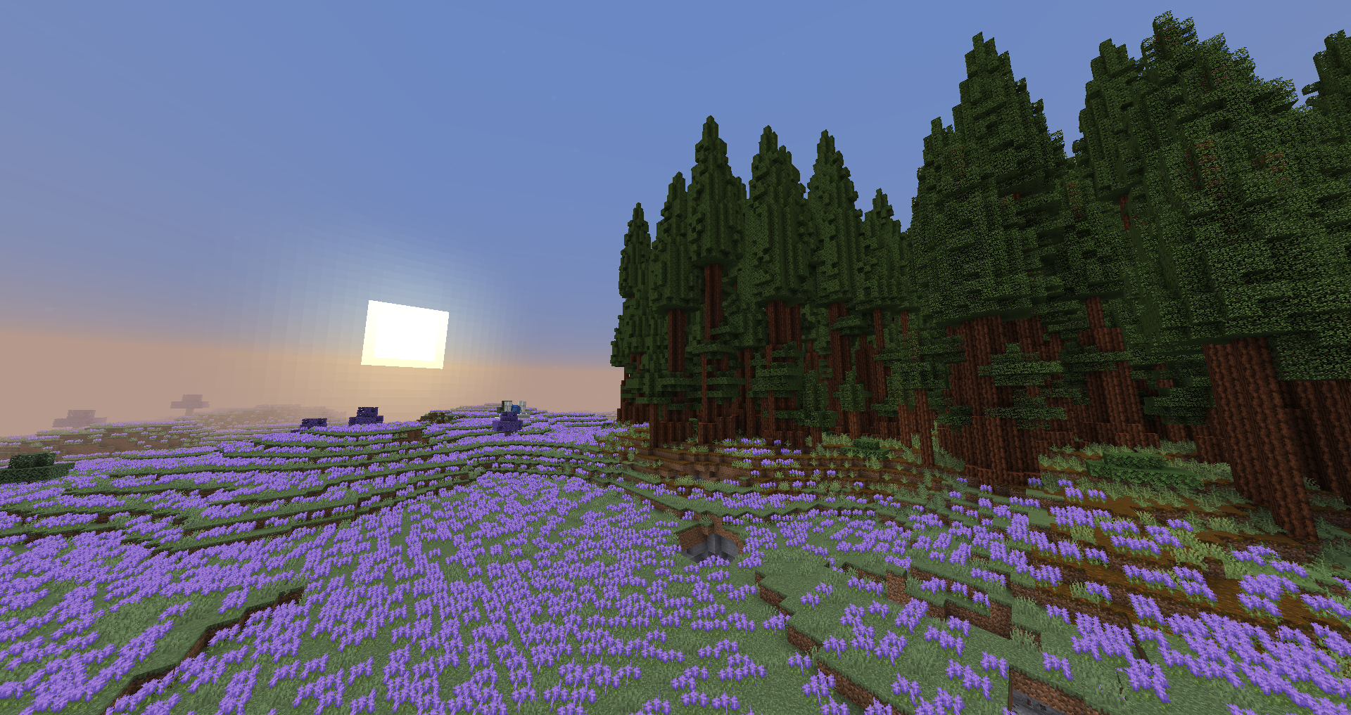 One of the Biomes