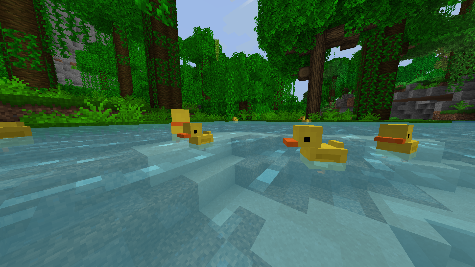 Duck Spawns