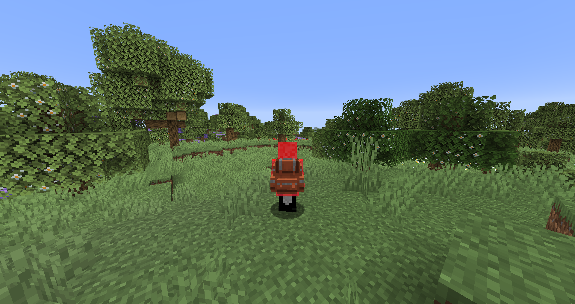 This modpack has added Backpacks for your travelling