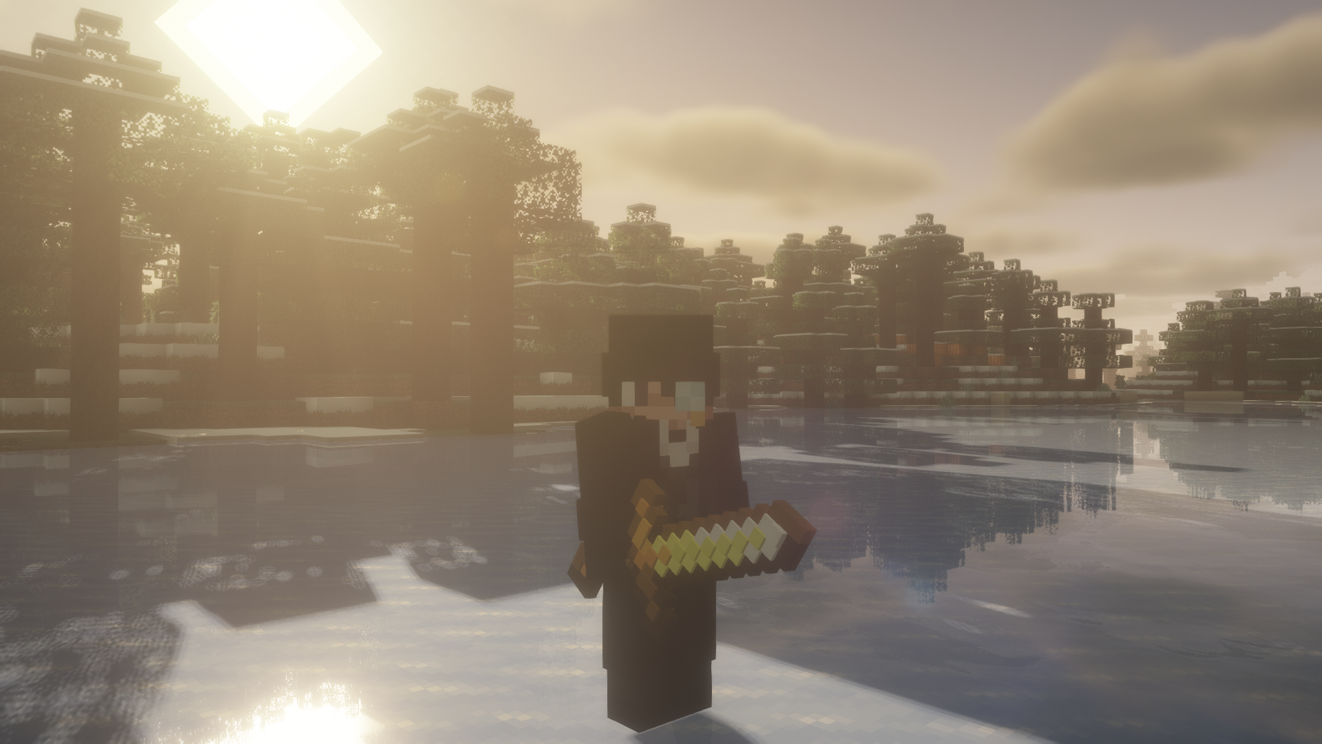 BSL Shaders