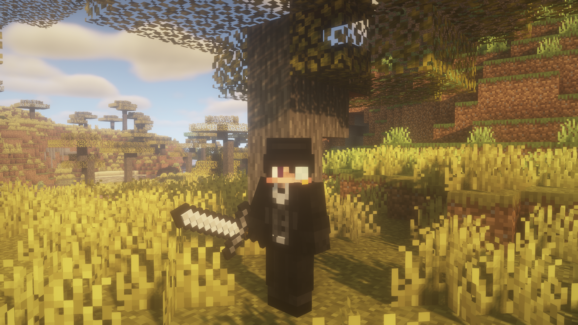 BSL Shaders