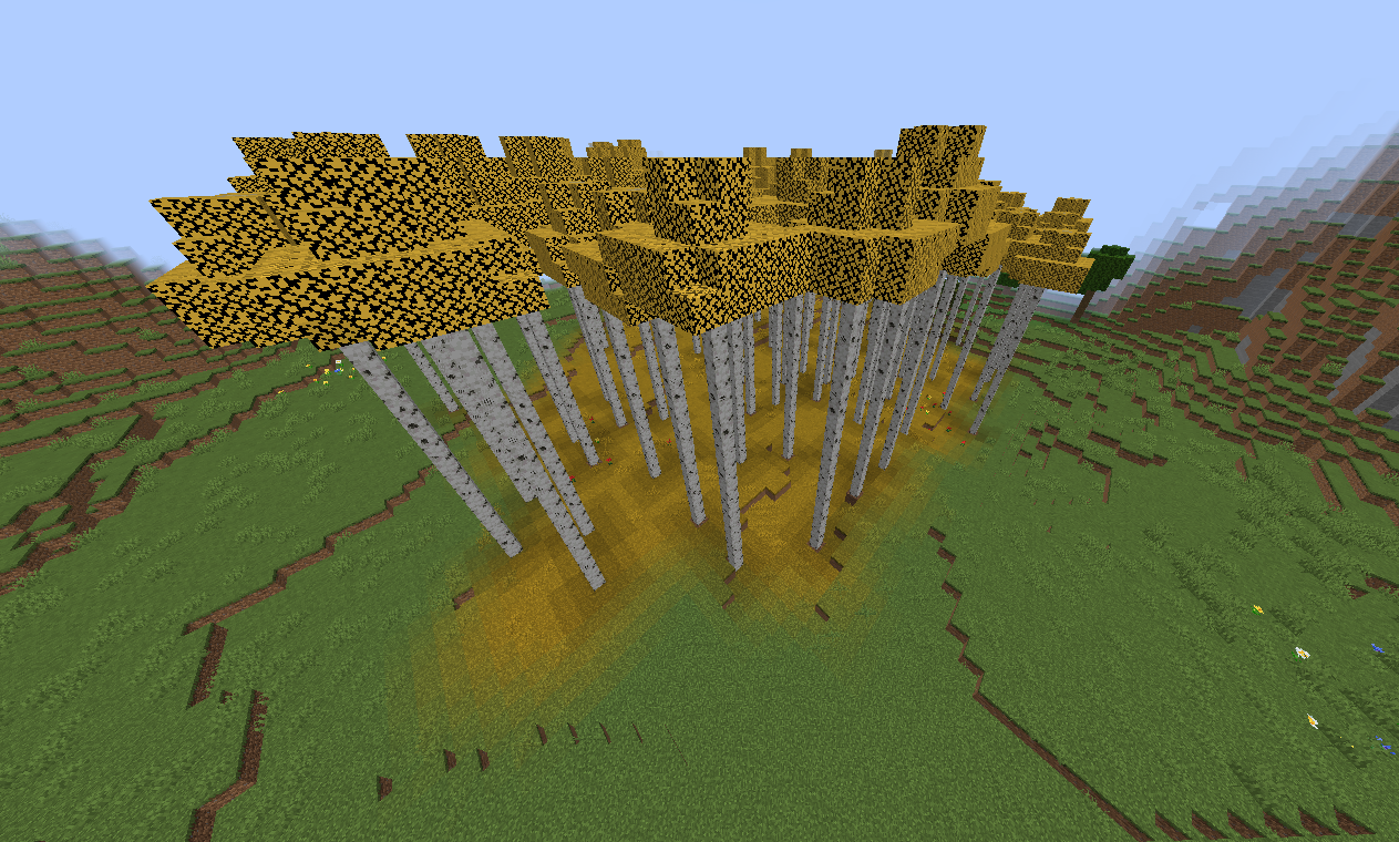 Yellow Birch Forest