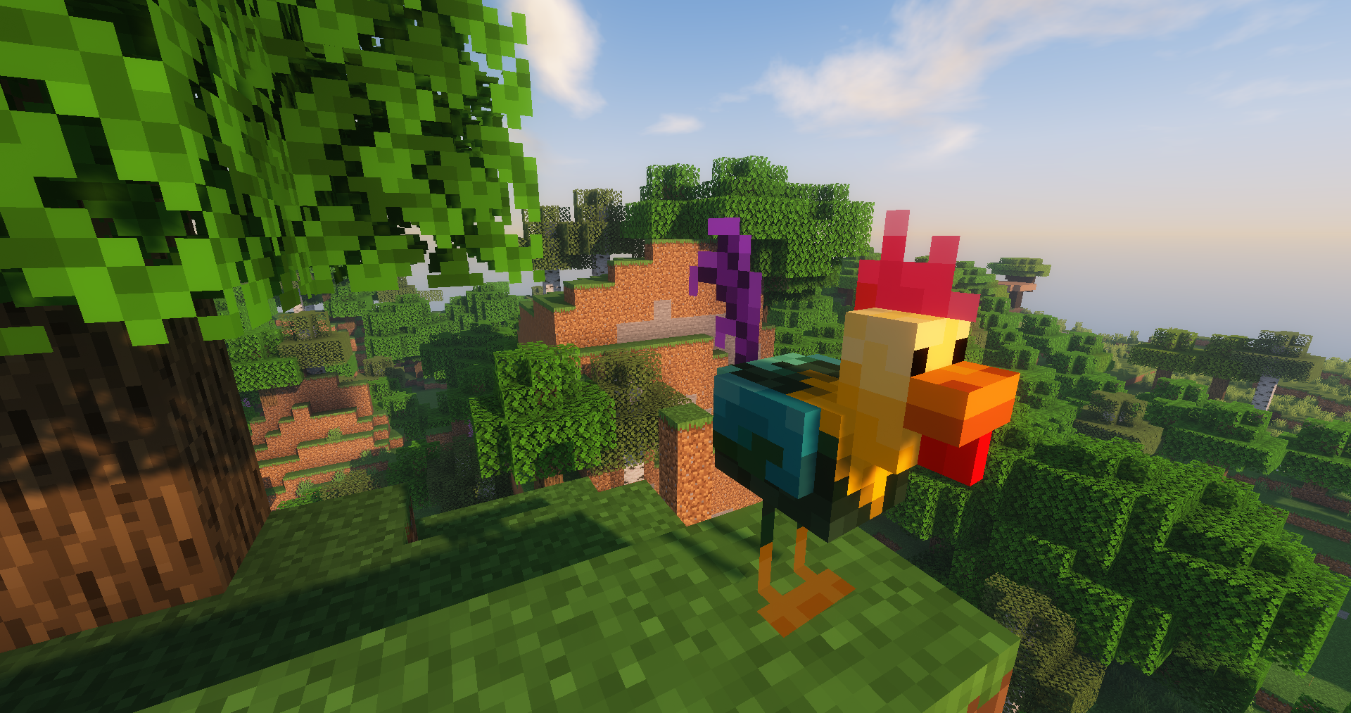 Fancy chickens