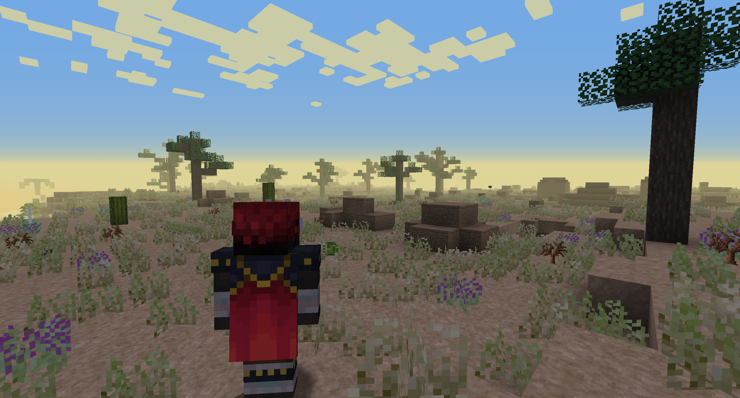 This is a desert variant biome.