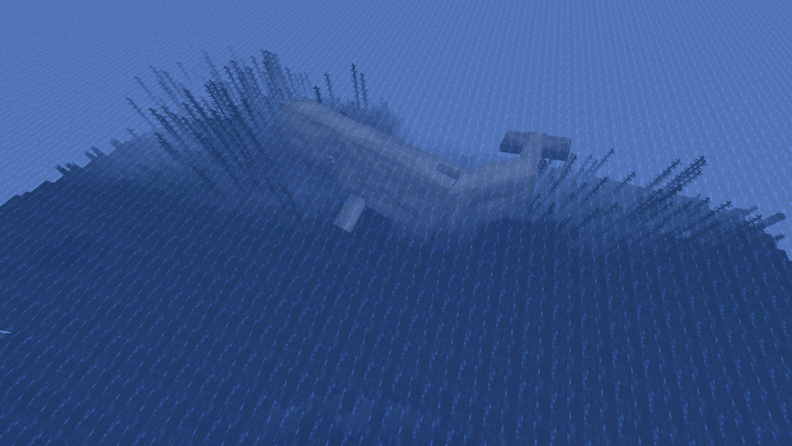 sea mammal 