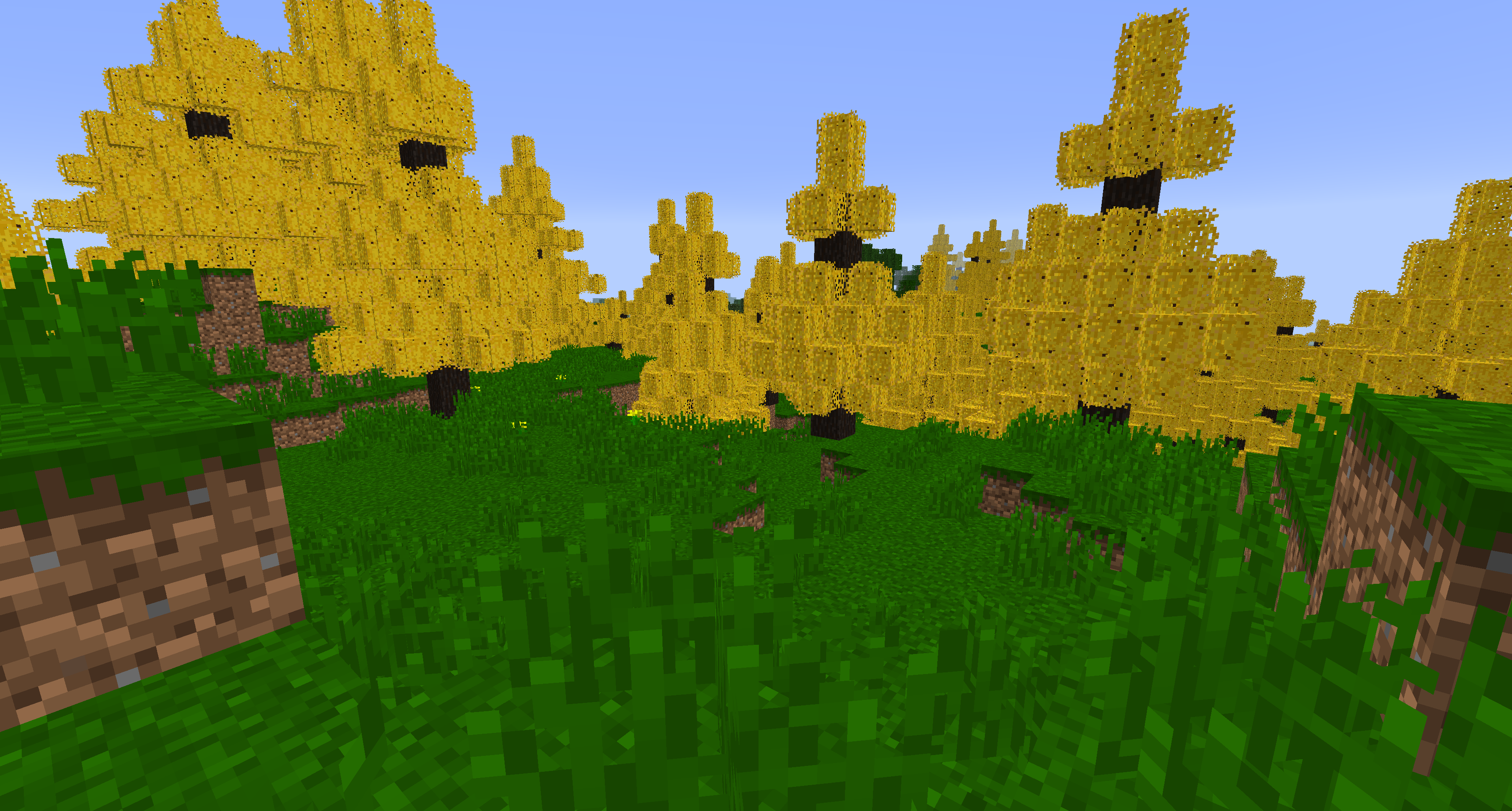 Biome Generation