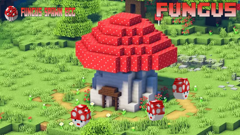 Fungus update, 27.04.2022