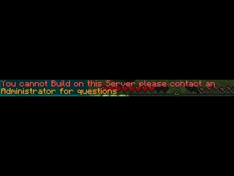 The Info Command for Players