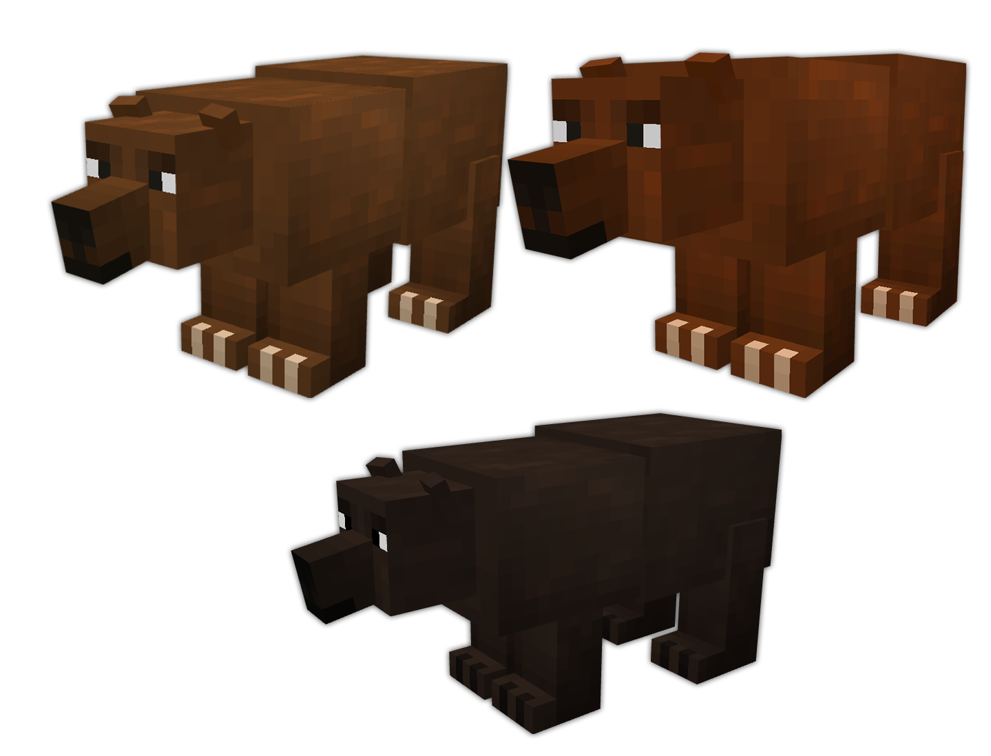 Grizzly bear variations