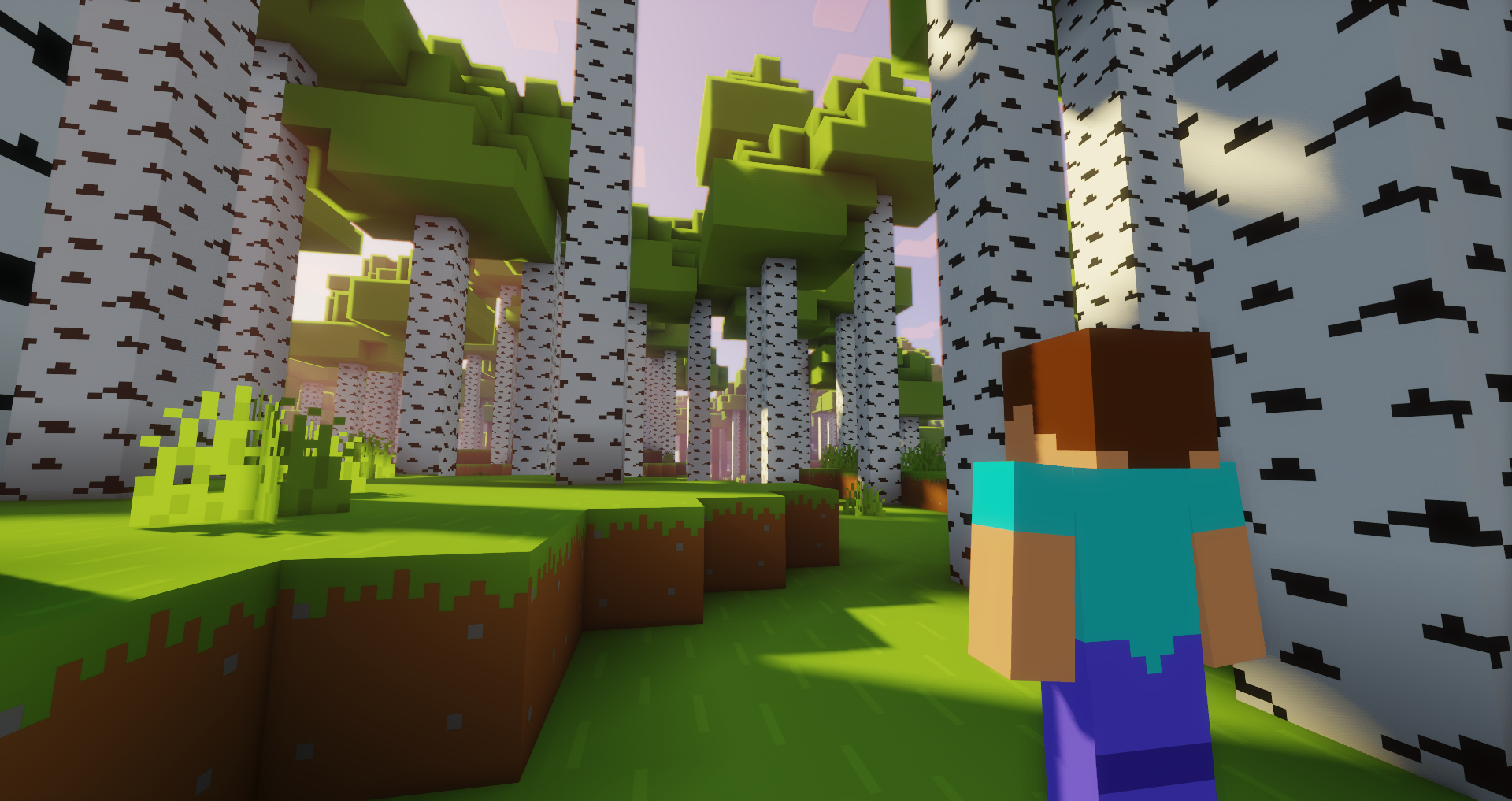 Steve in Birch Forest! (uses Barebones Resource Pack + Sildur's Vibrant Shaders)