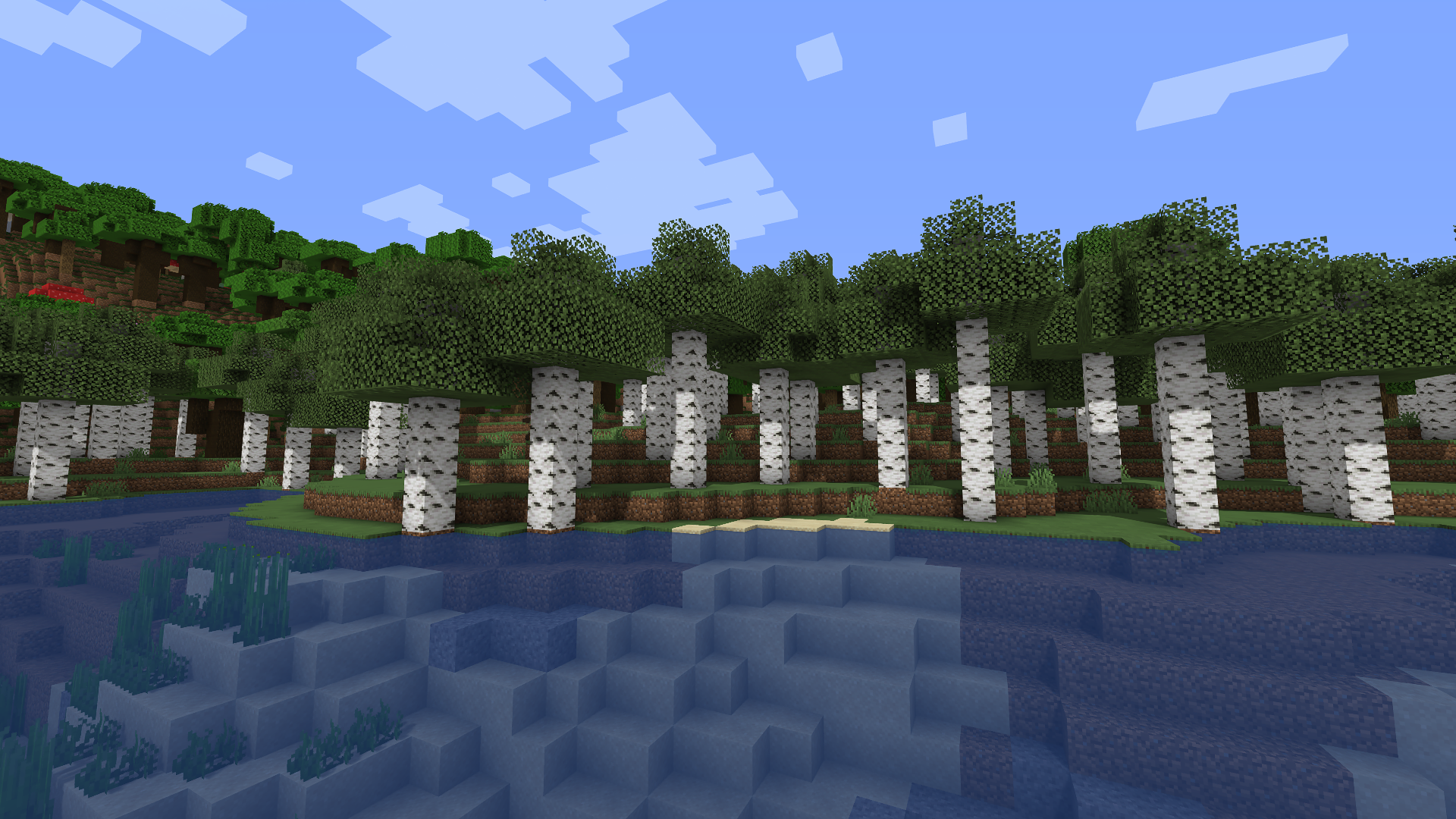 Birch forest next to a river. (Taken with Sildur's Enhanced Default Shaders)