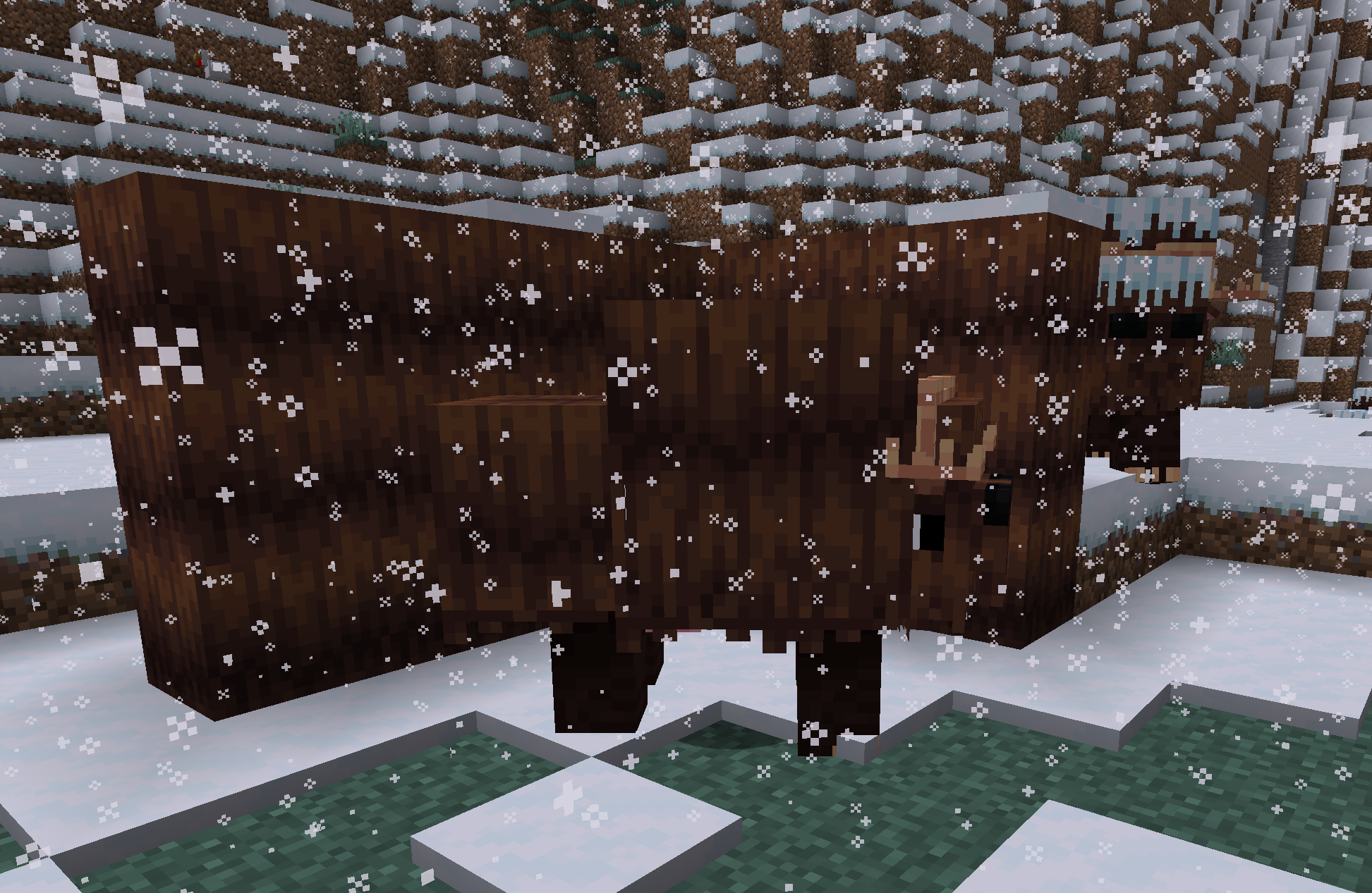 Boggord + Wool Block