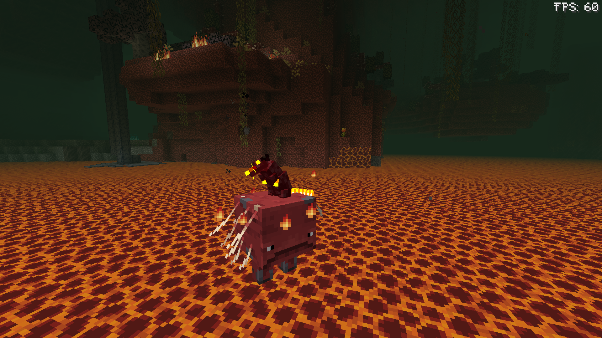Watching a still serene fire rat riding the strider