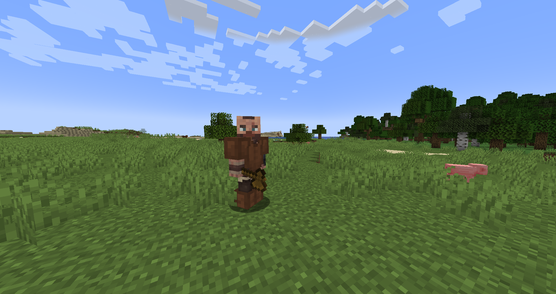 Stray barbarian in leather armor