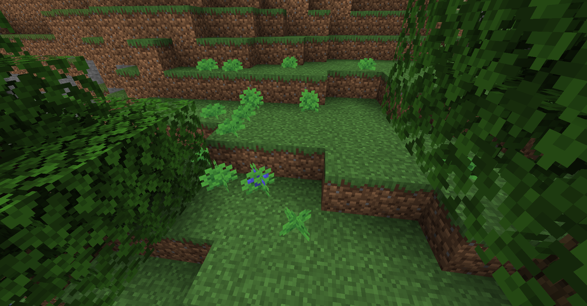 Blueberry Bushes generating in a Forest biome