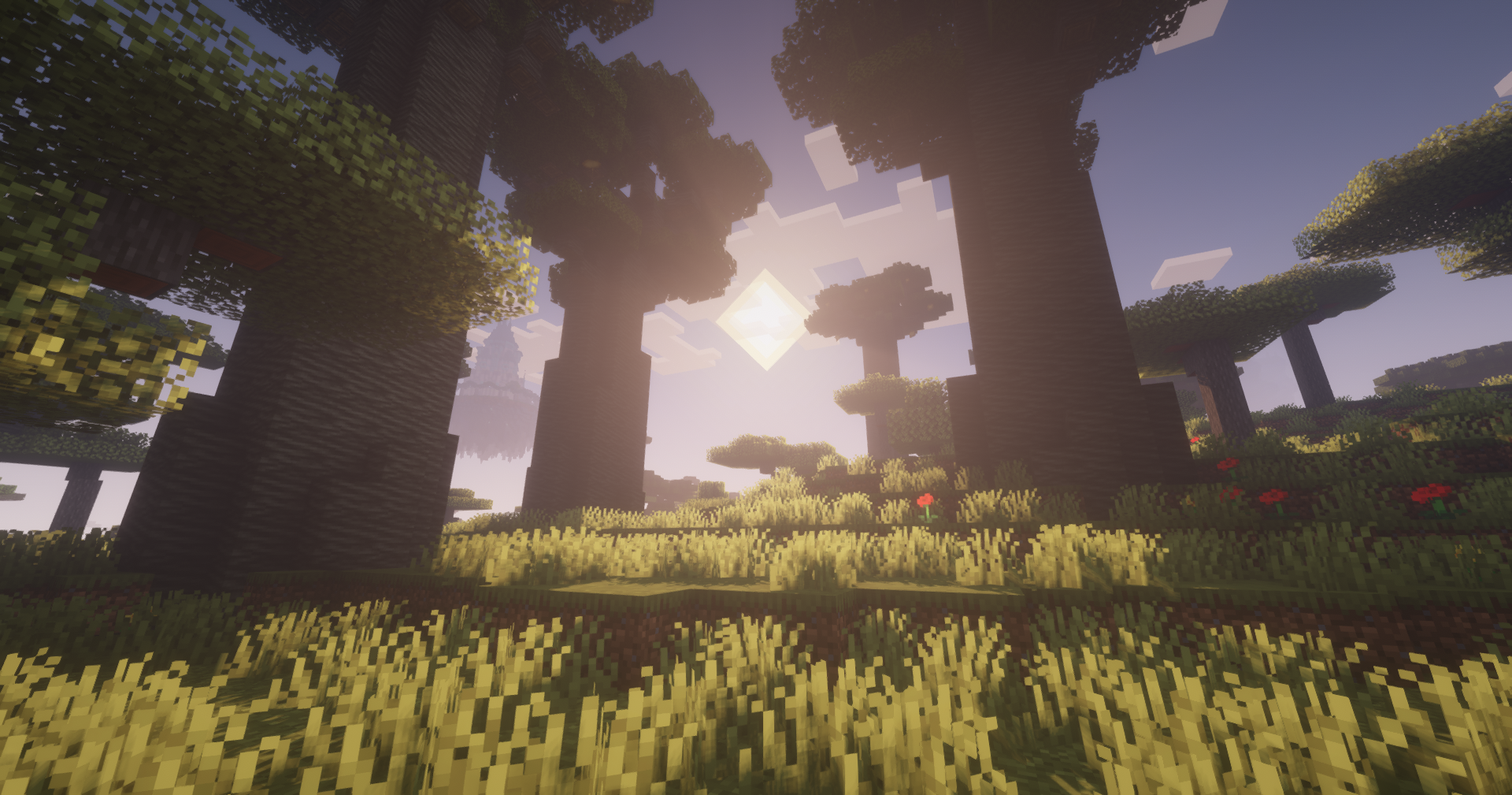Biome from "O The Biomes You'll Go"