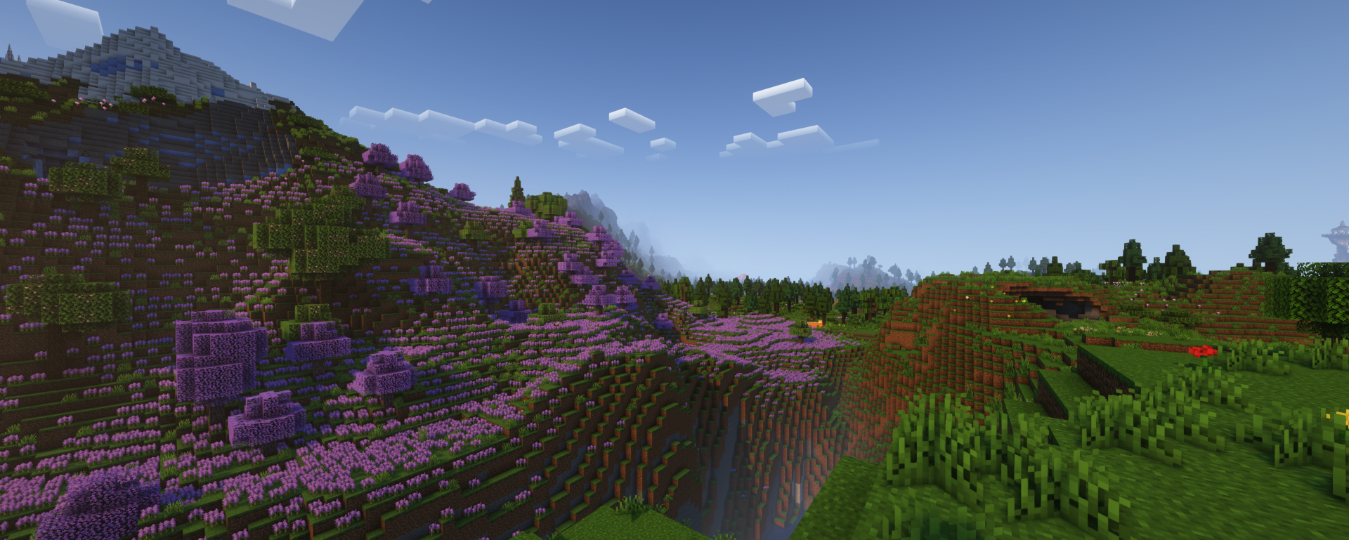 Lavender Fields