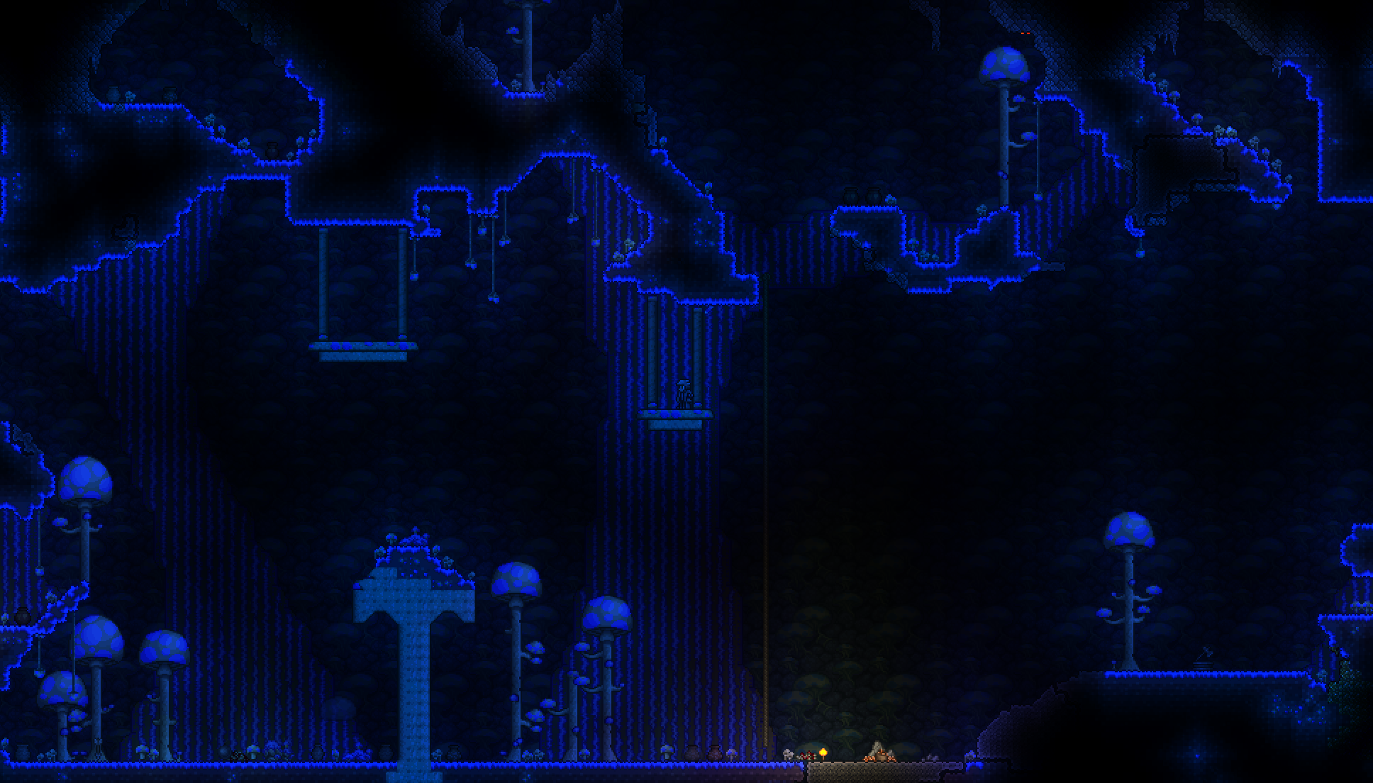 Mushroom biome