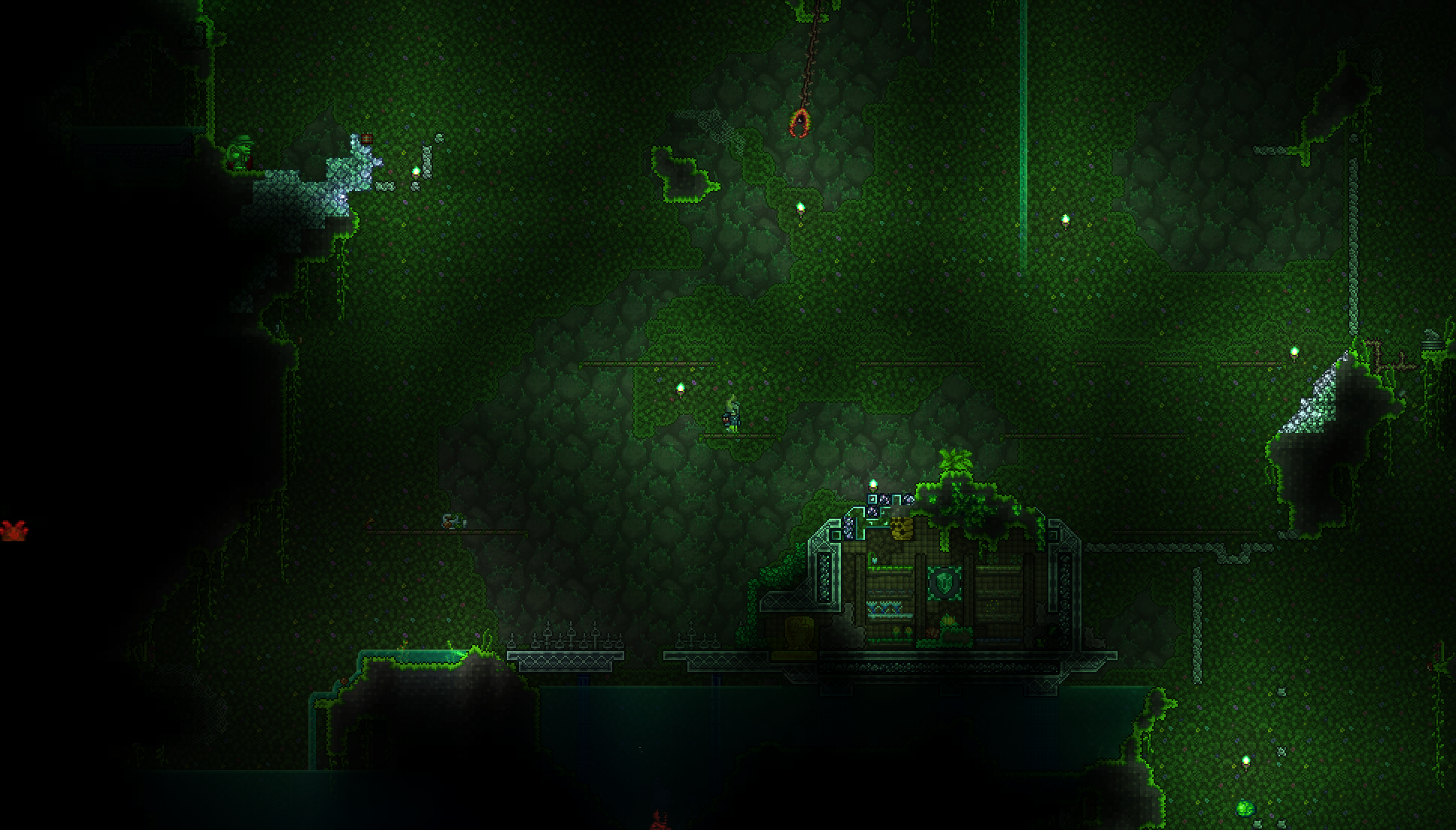The abandoned garden