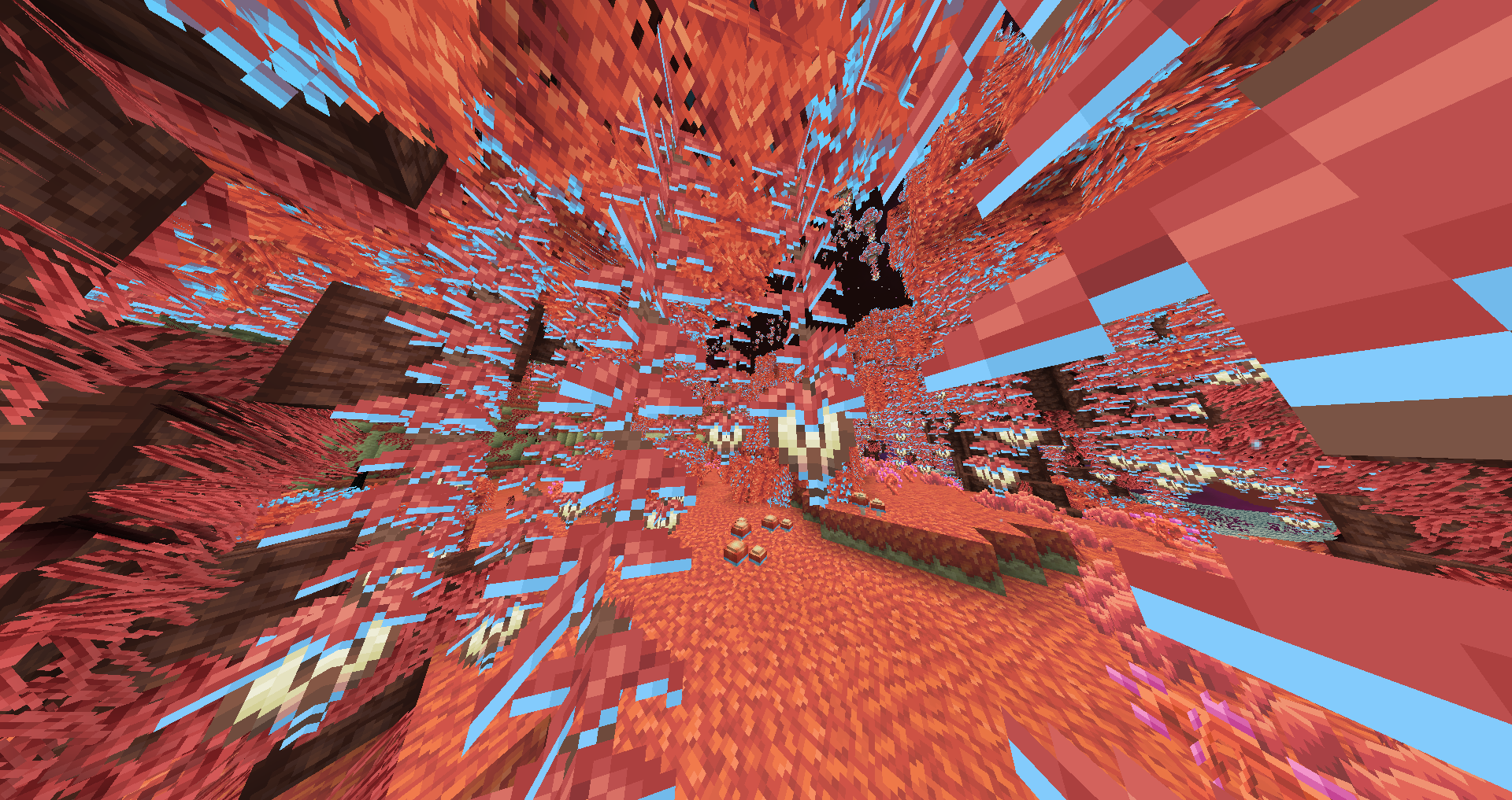 One of the End biomes