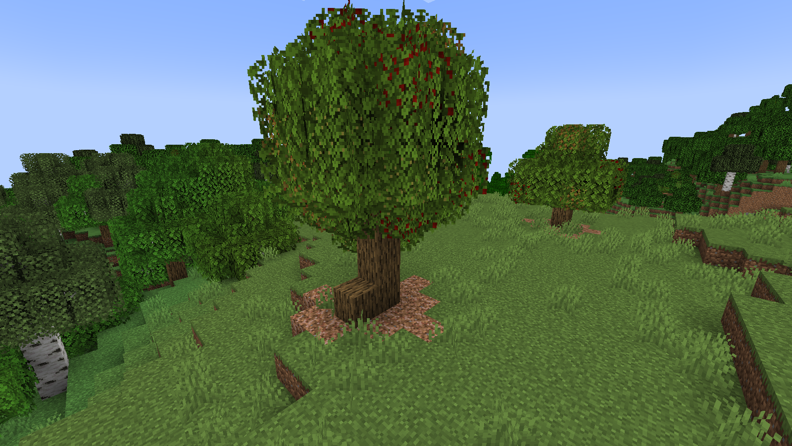 Apple Trees