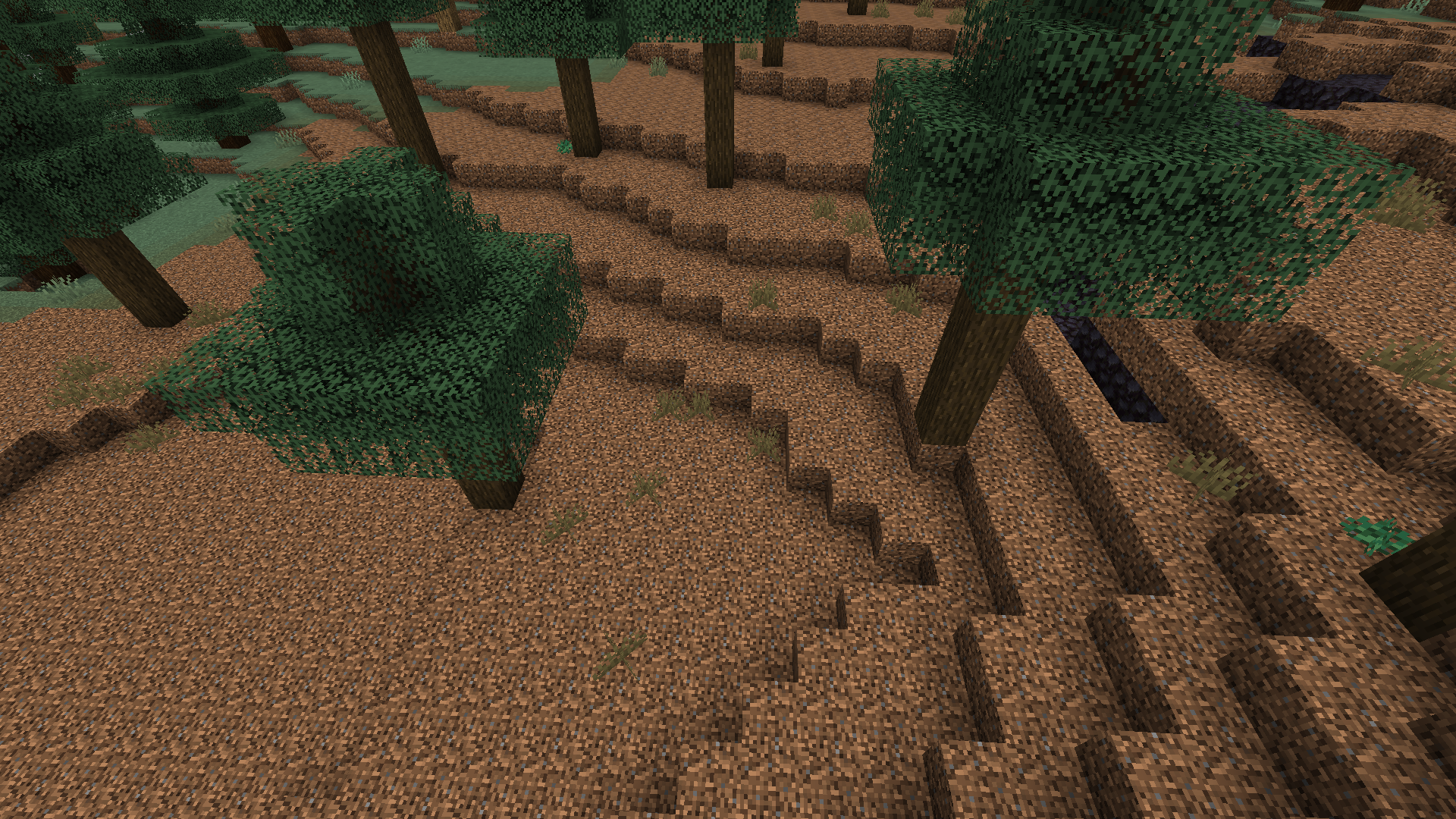 An overhead view of the Crude Forest