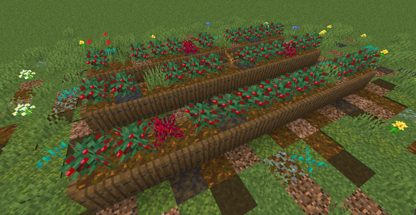 cultivation of berries 1.19