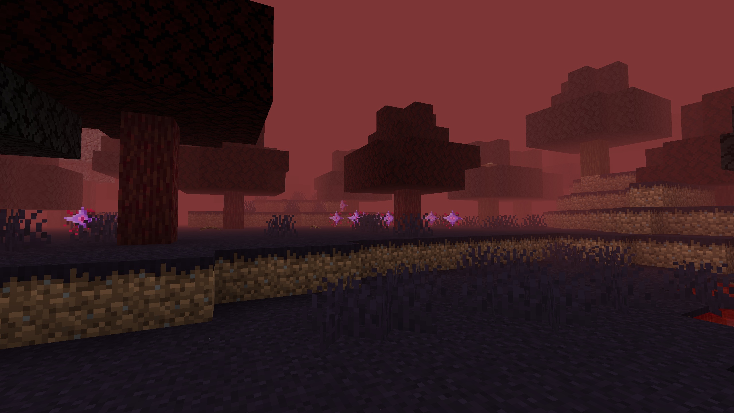 Inside Vampire Forest