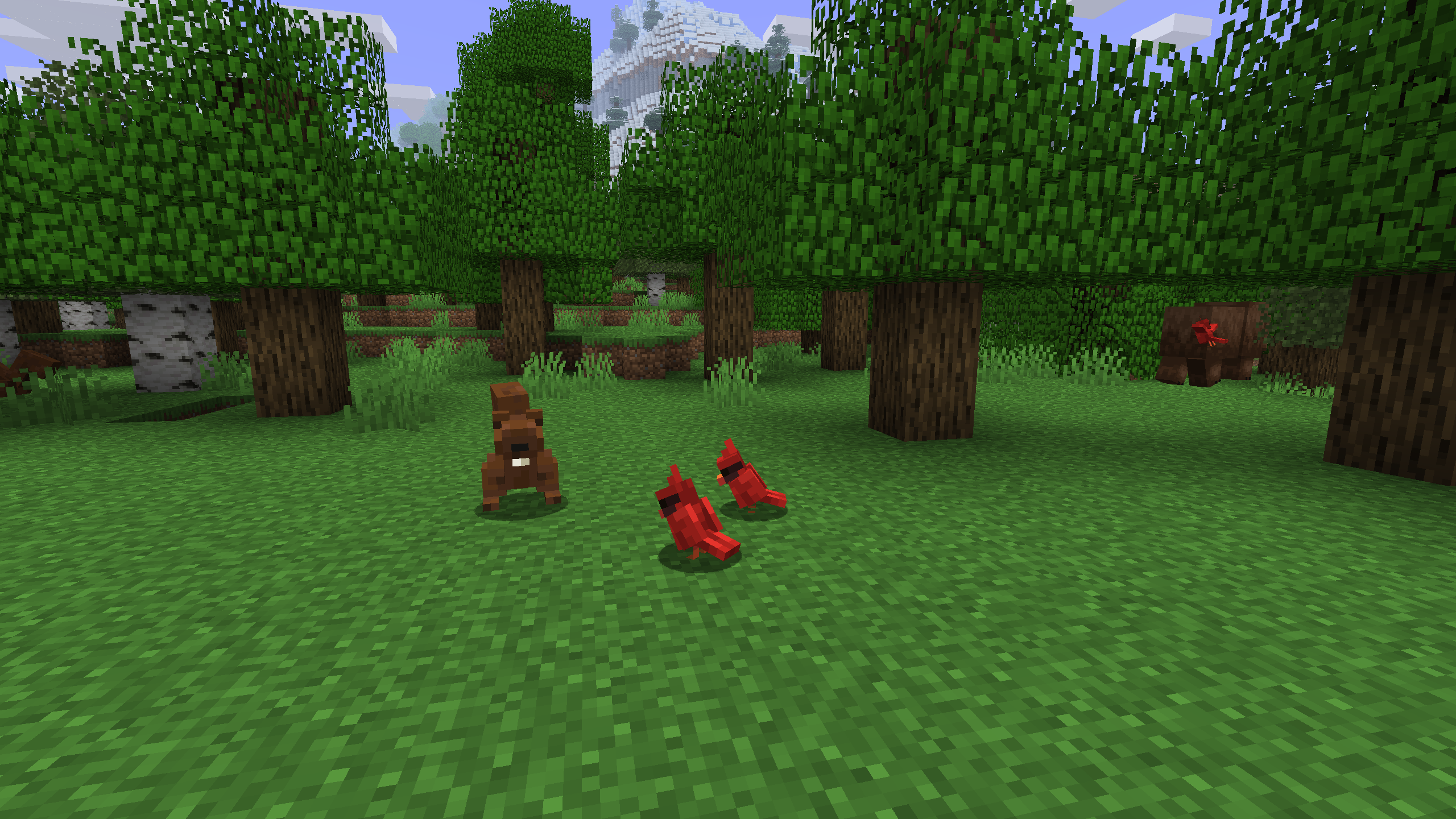 Expect to see a handful of new animals and mobs on your journey, like these squirrels, birds and bears.