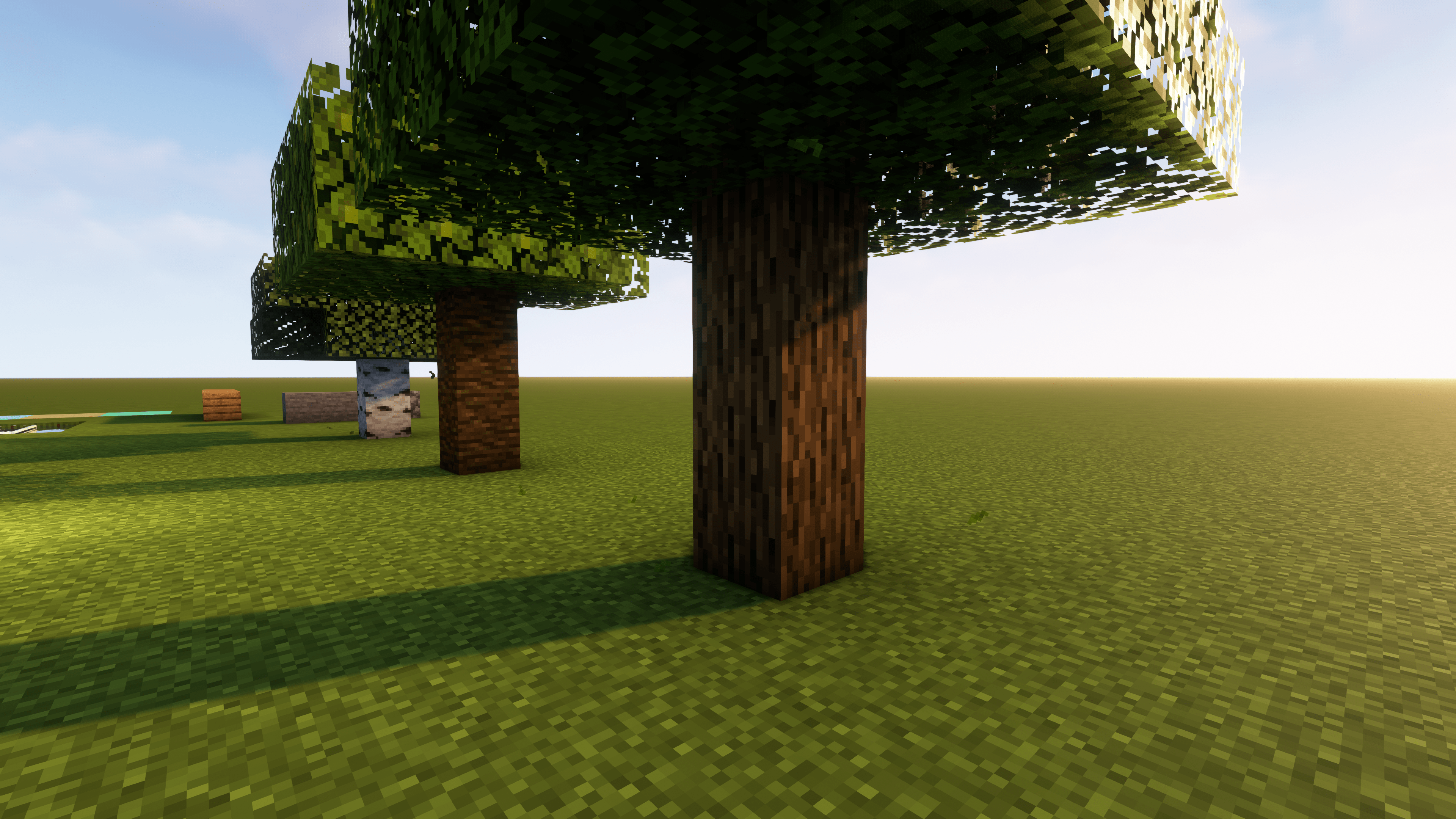 Example shot showing leaves falling from some trees. The effect is more impressive with forests rather than individual trees