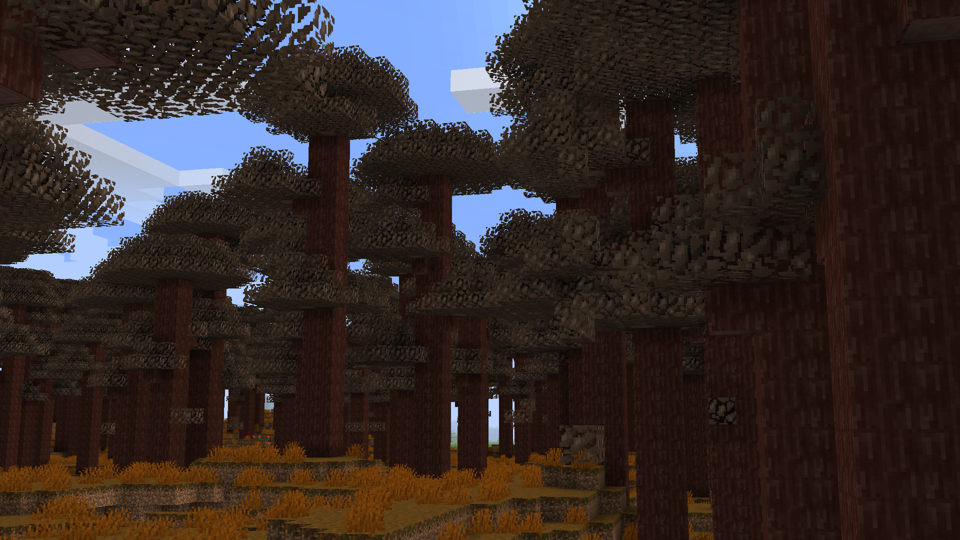Yeah, it's a forest