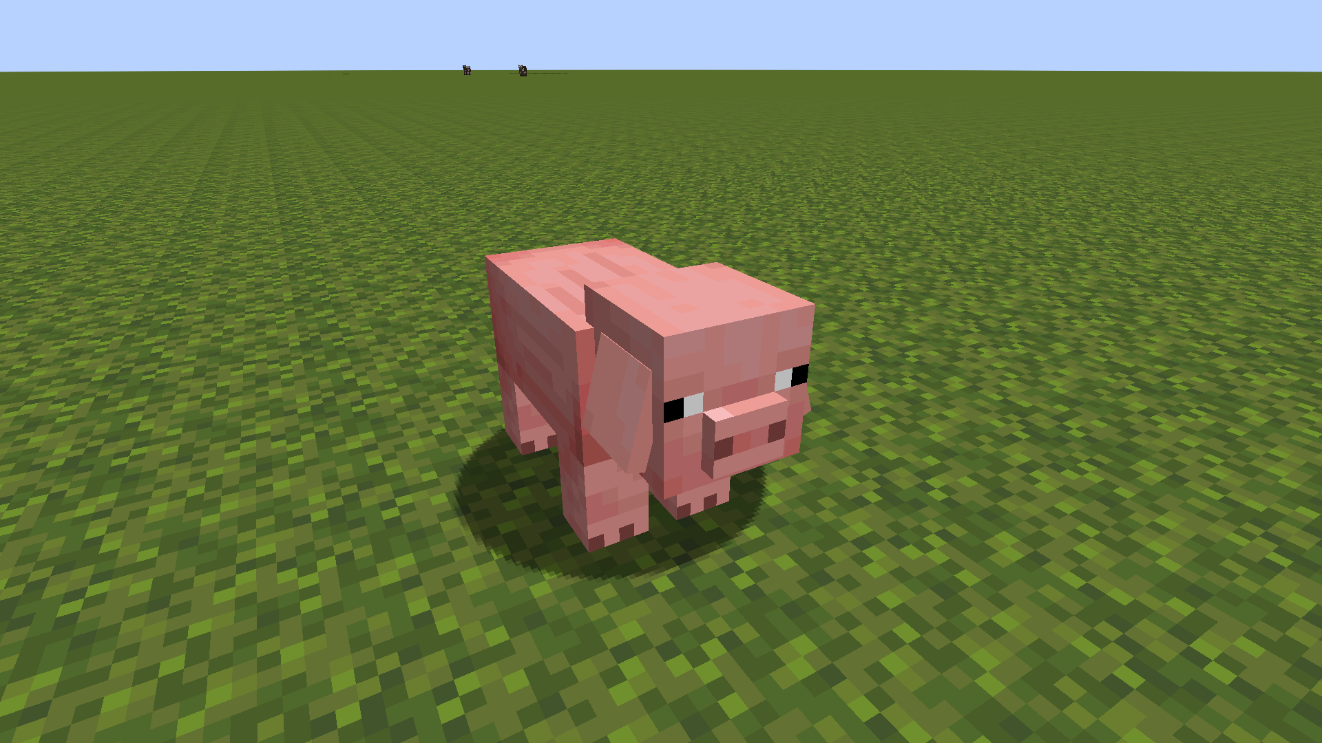 Pig