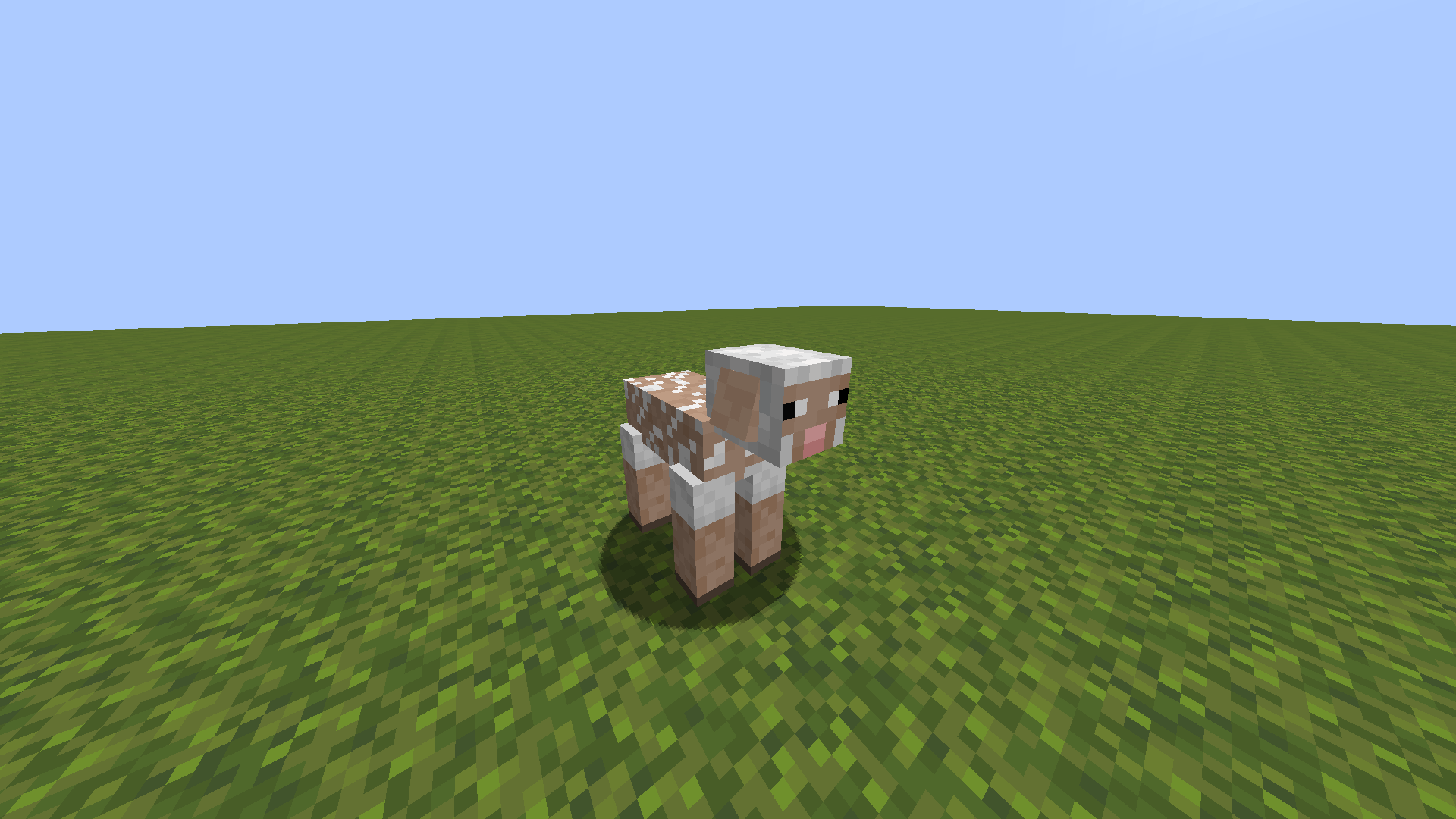 Sheep2