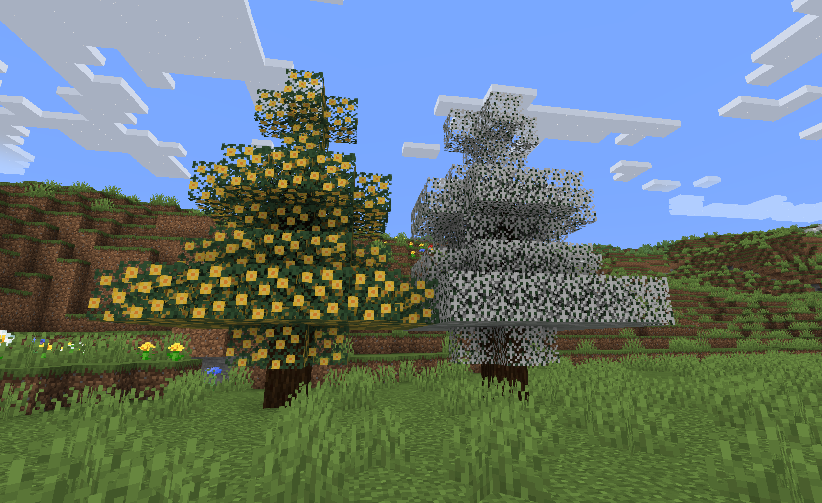 New Spruce Trees