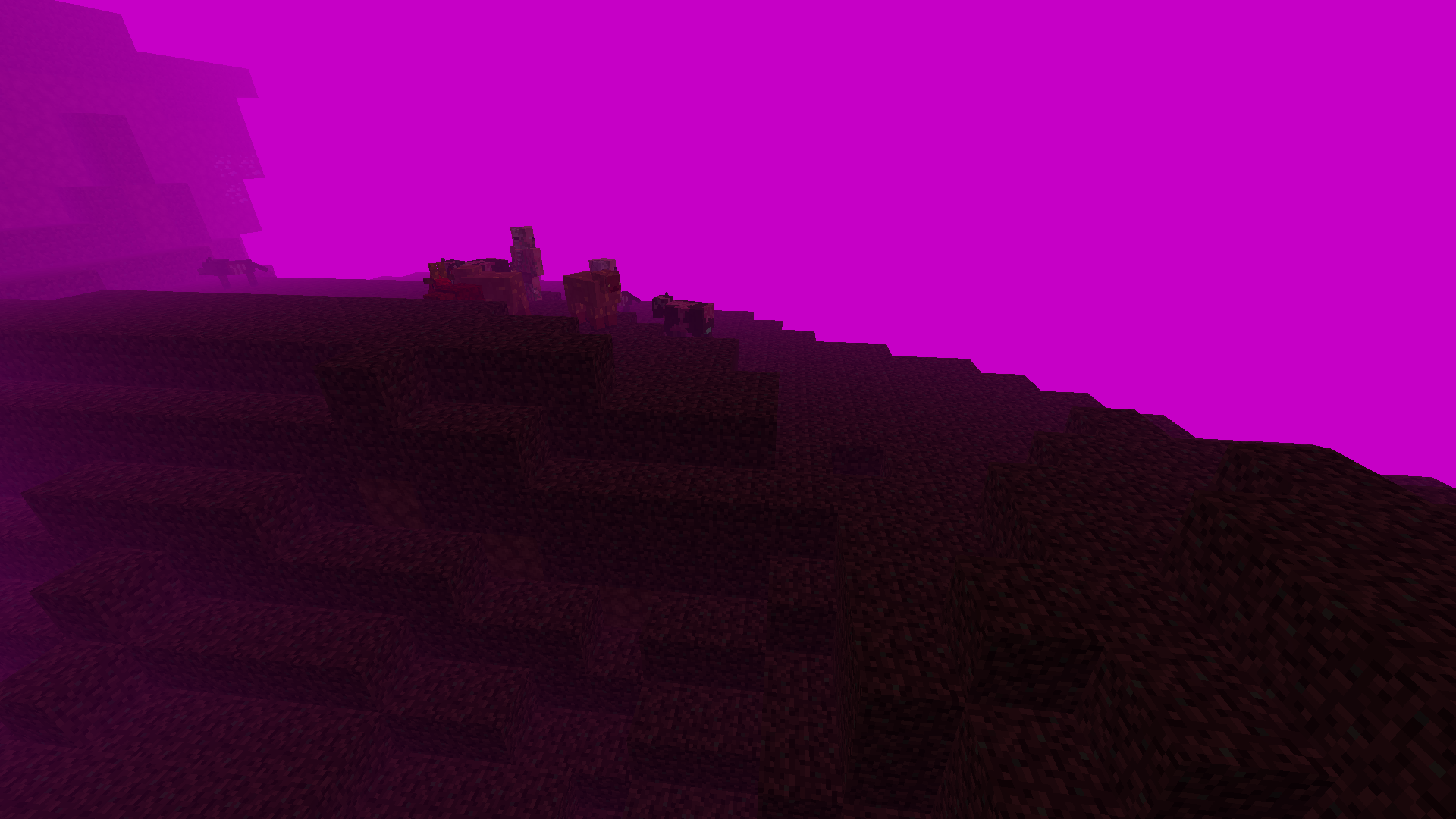 Nether WasteLand