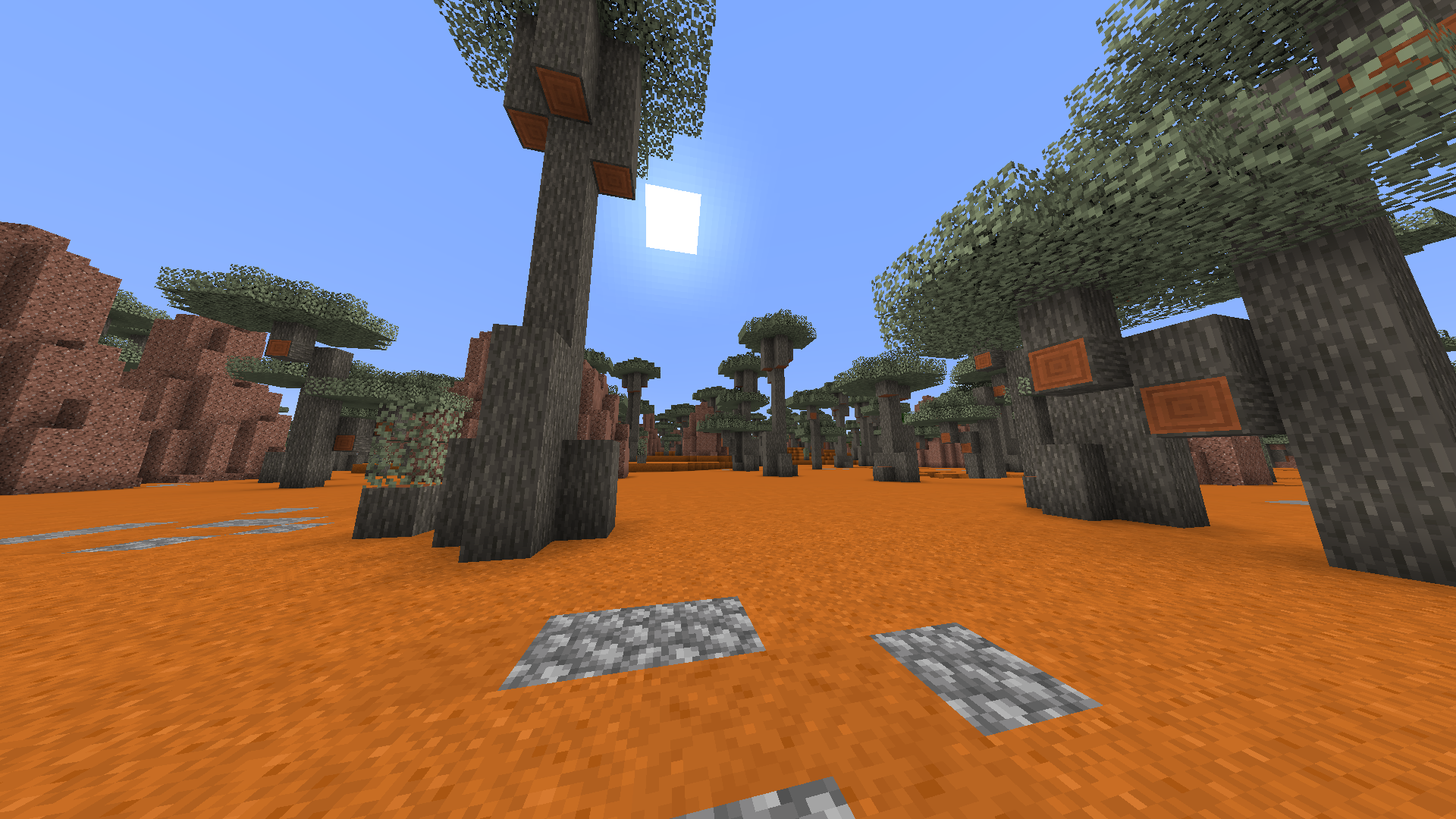 New savanna biome