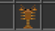 Japanese Crayfish